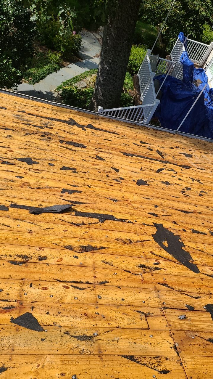 Arlington: CertainTeed Landmark Pro Designer Shingles in Max Def Heather Blend by RM Banning, Inc.