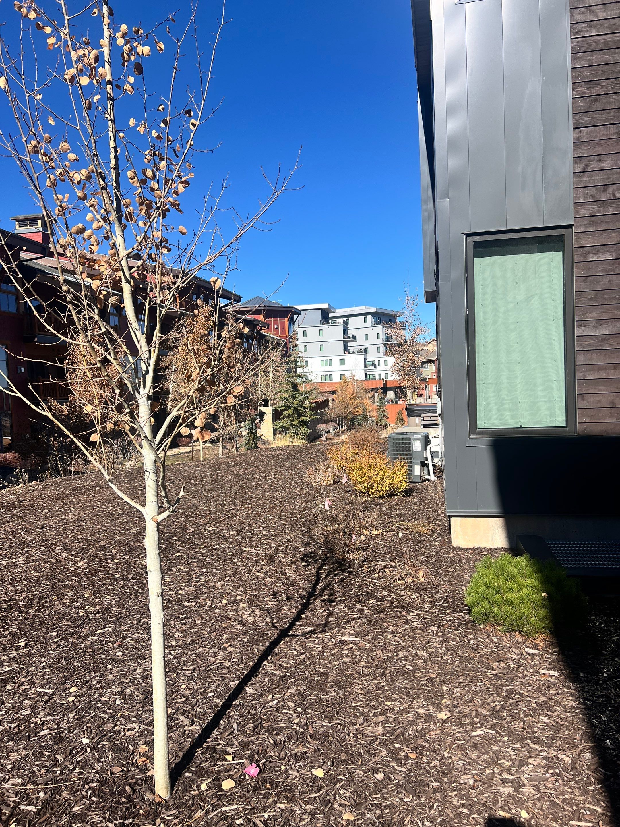 Worx Landscaping & Snow Removal featured photo.