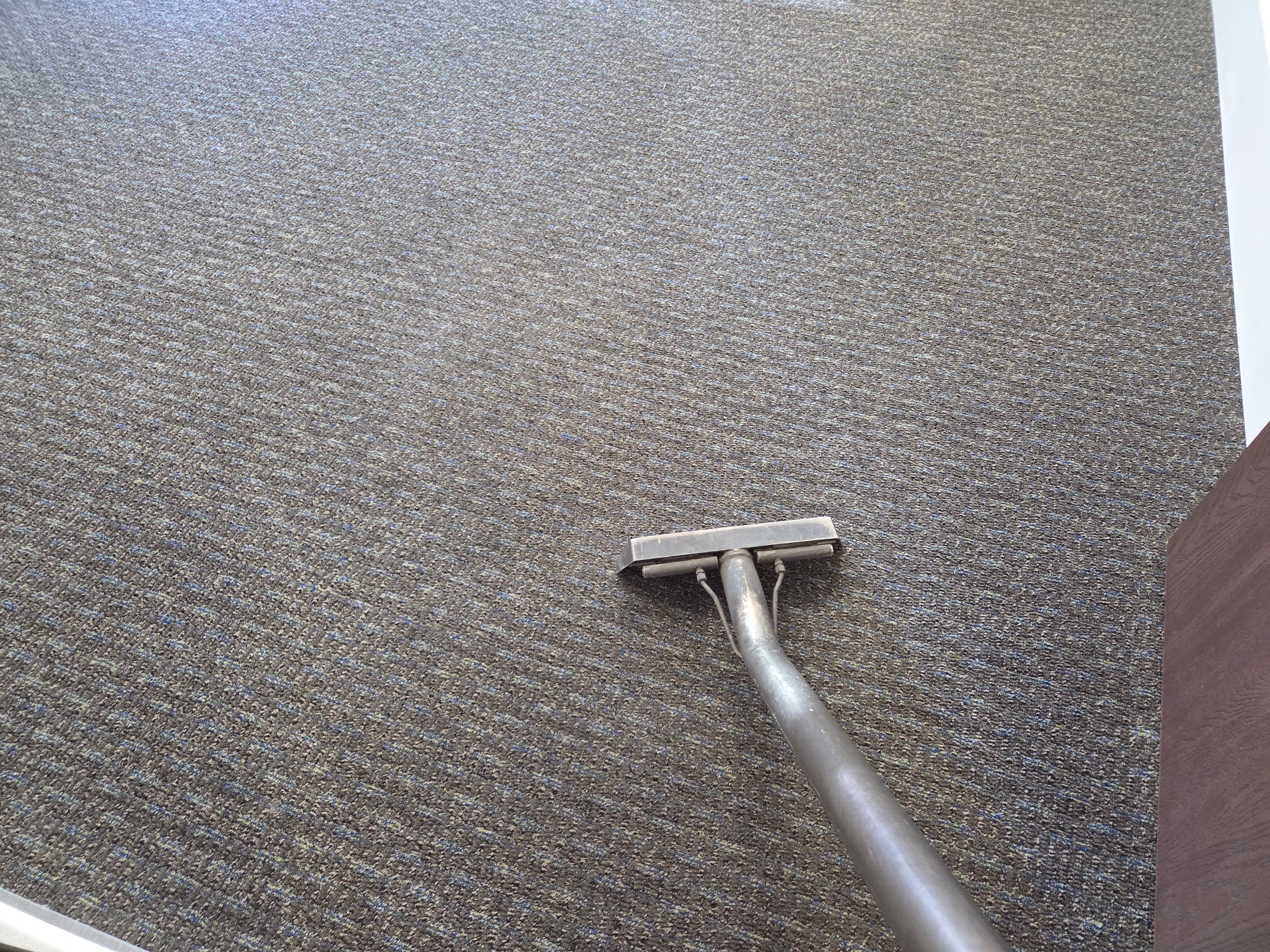 Commercial Carpet Cleaning in Gold River by Ardent Carpet Restore LLC