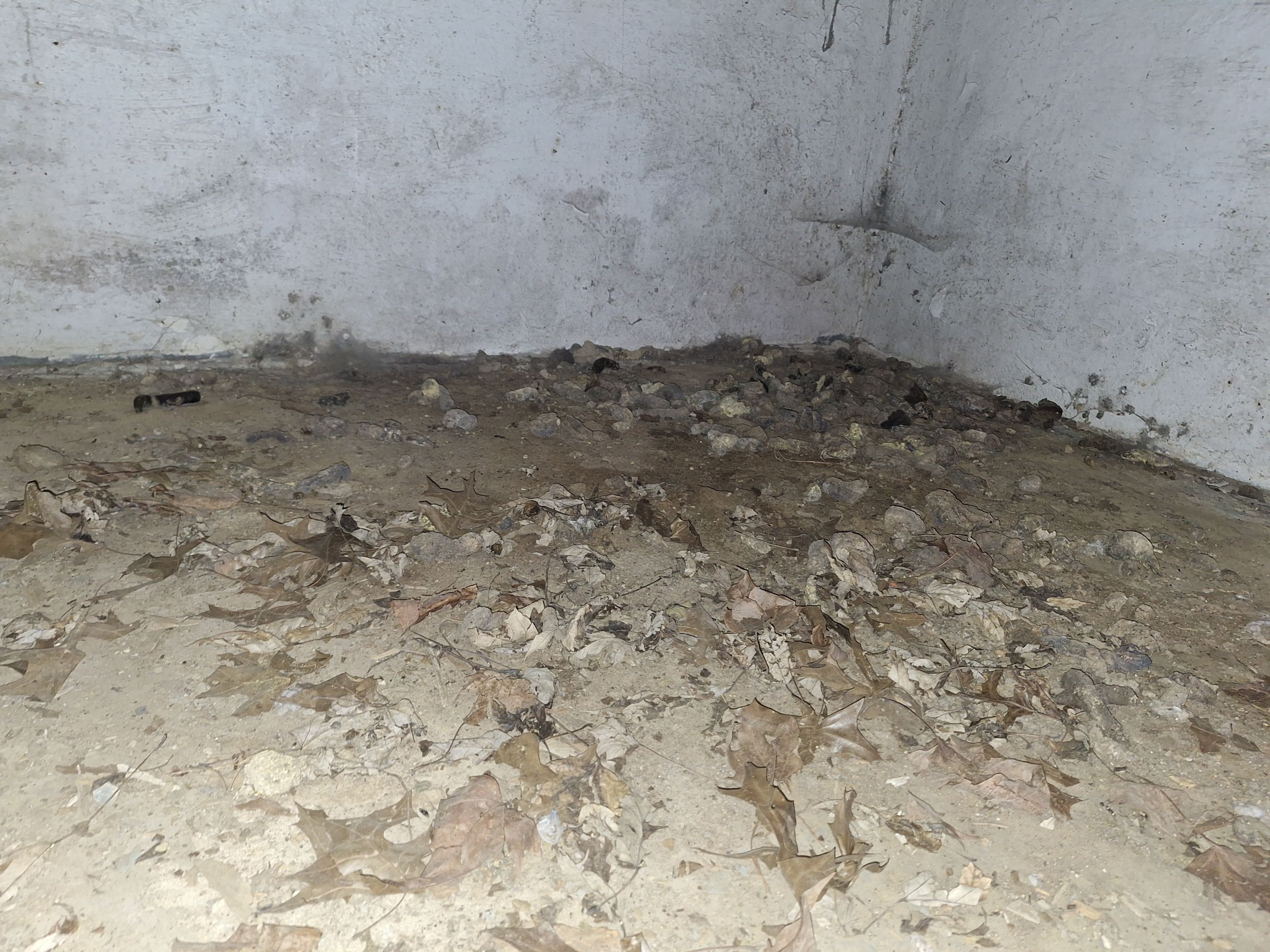 Biohazard Crawlspace by ANR Restoration
