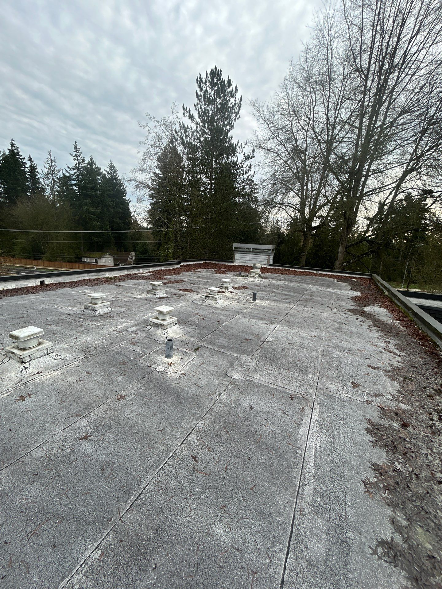Project in Kirkland by Connolly Construction Company