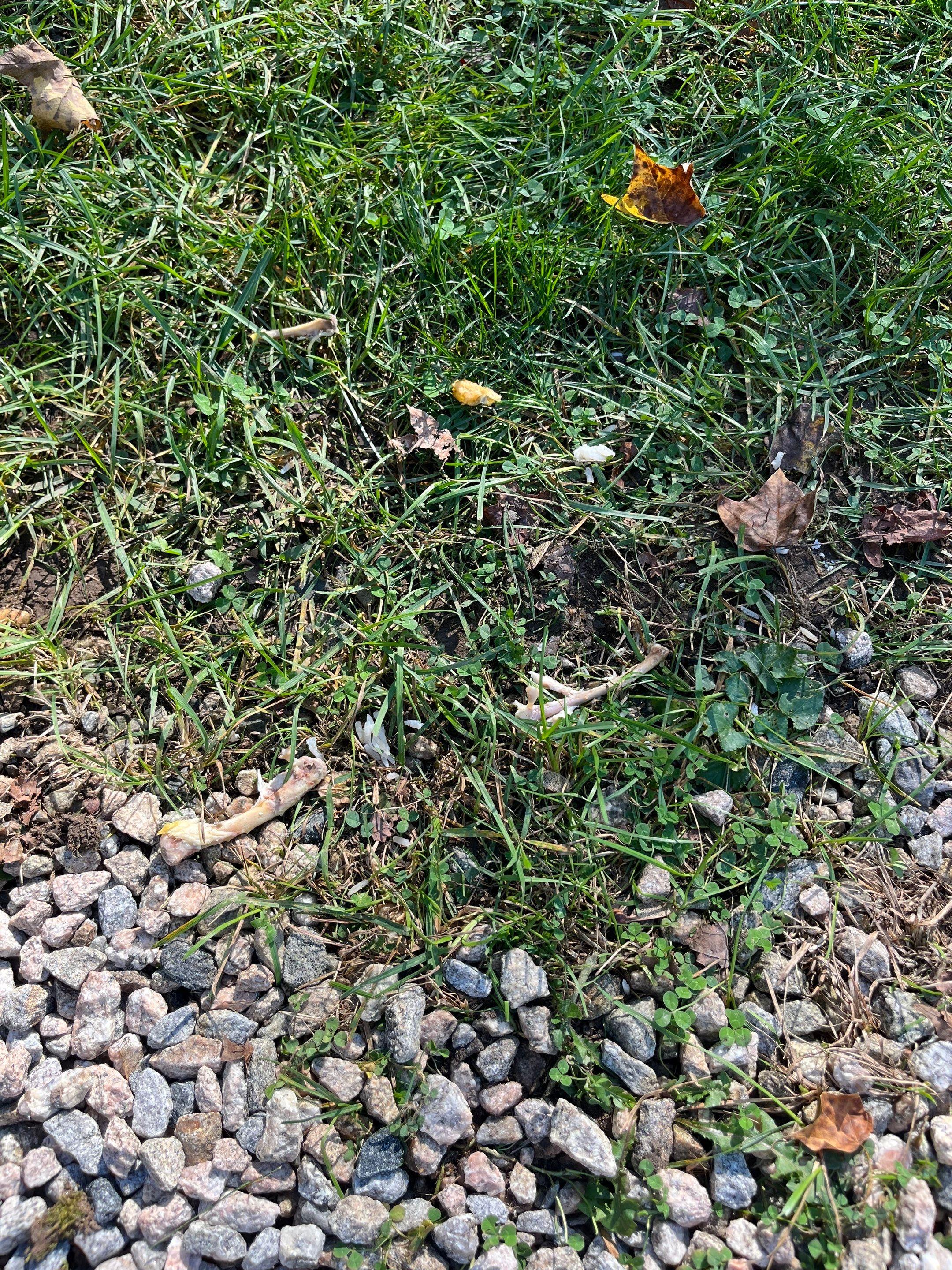 Residential Roofing Installation using Owens Corning TruDefinition Williamsburg gray by A Plus Exterior