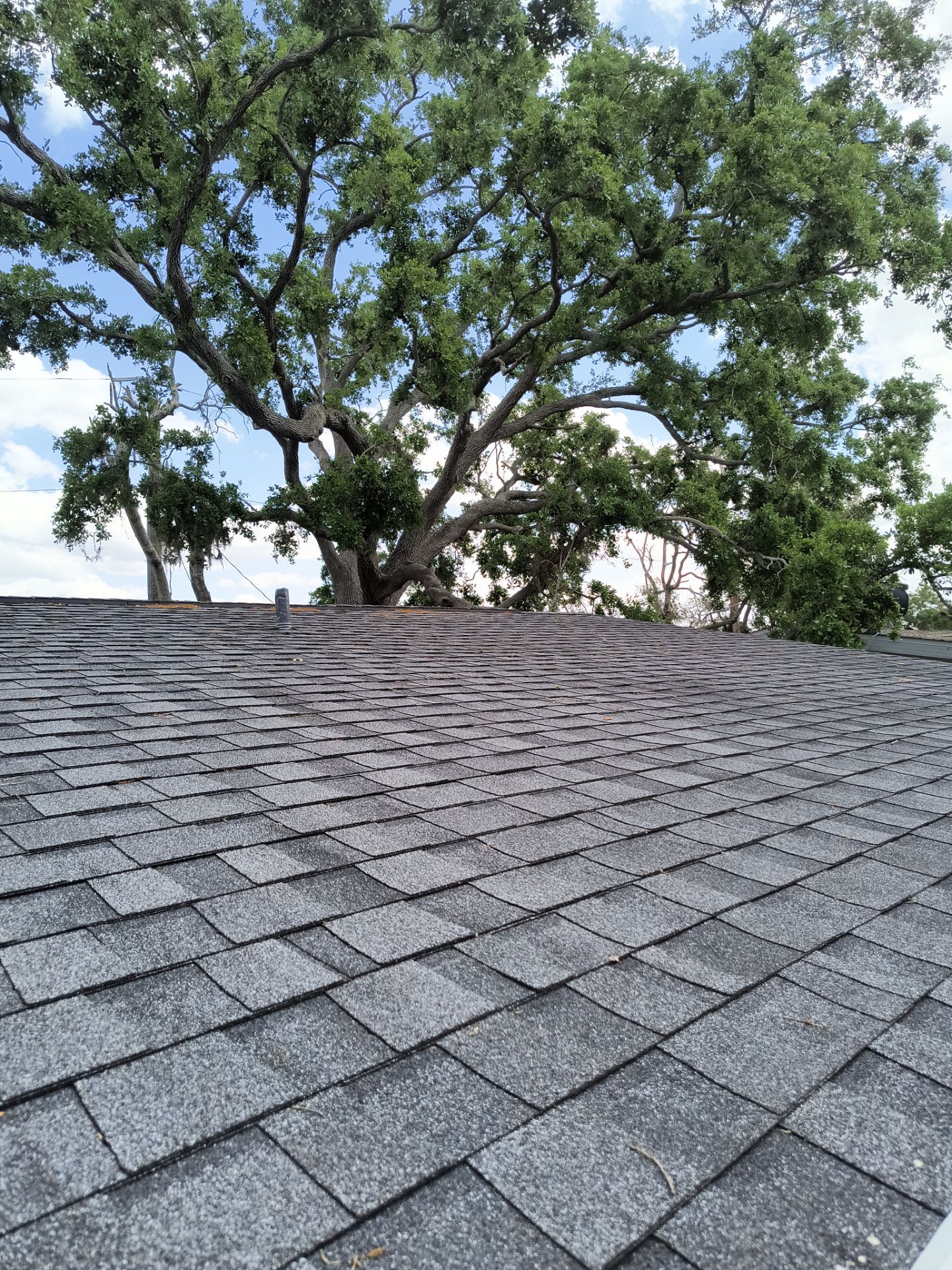Black Seamless Gutters using 7 inch seamless gutters & New White Soffit in Sarasota FL by Gutter Professors