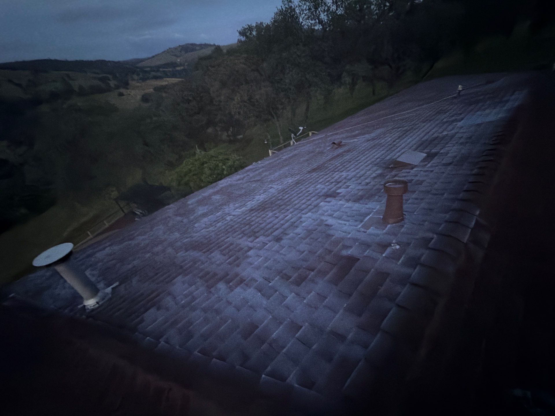 Roof Rejuvenation using Roof Maxx Treatment by Roof Maxx of Folsom