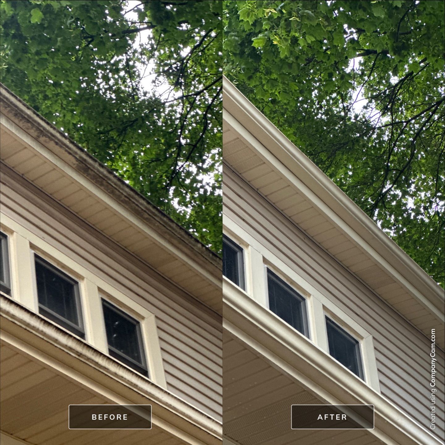 Project in Arlington Heights by Simmons Power & Soft Washing