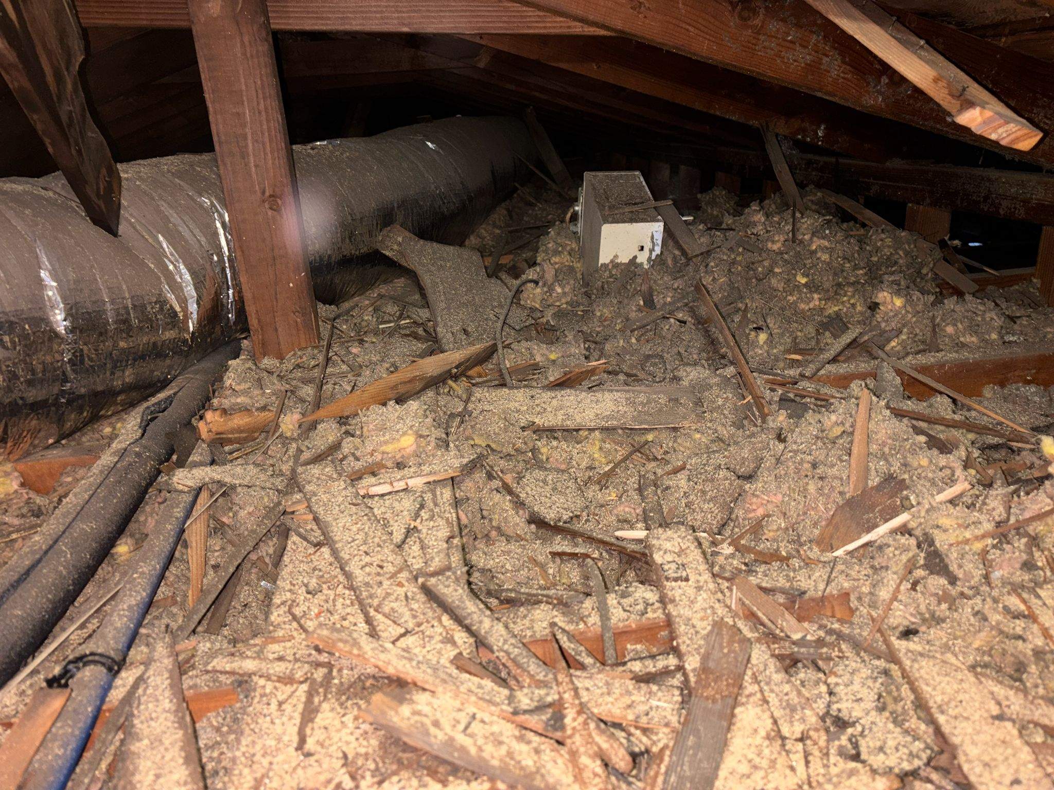 Project in La Habra by Insulation Labs