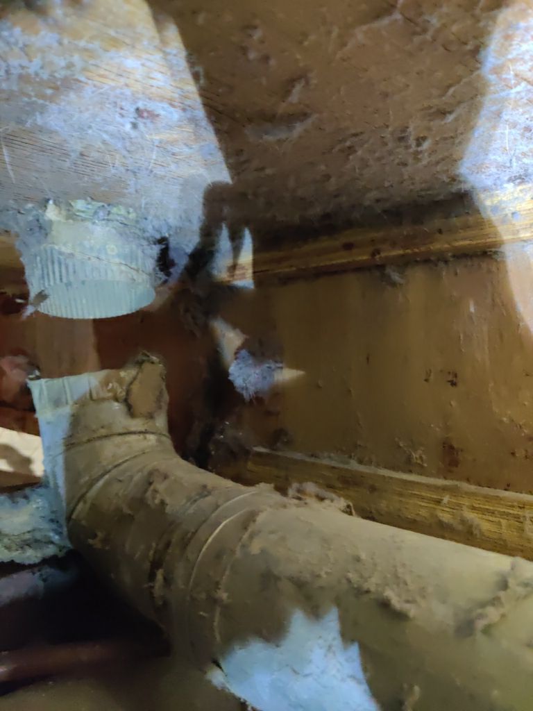 Crawl Space Cleanup  by Accountable Home Services