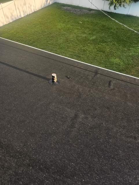 Shingle Re-Roof by Four Peaks Roofing