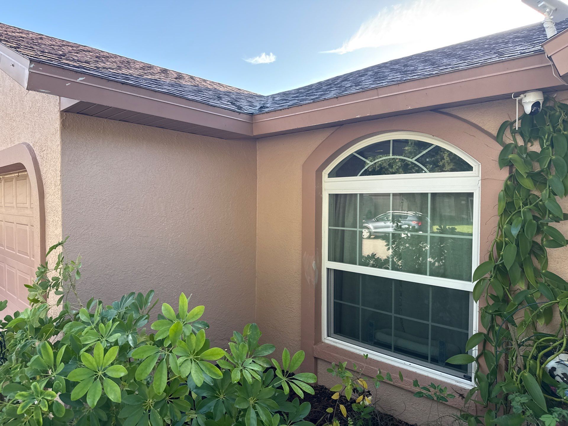 🏡 Another happy repeat customer! by Sunshine AquaWash