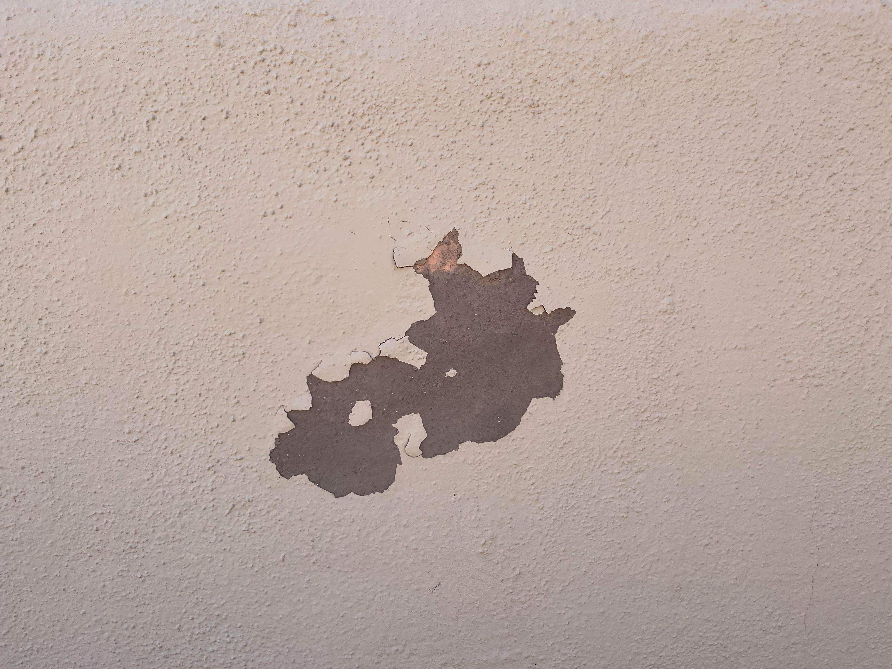 Exterior Painting - Avondale by Crash of Rhinos Painting & Garage Floors