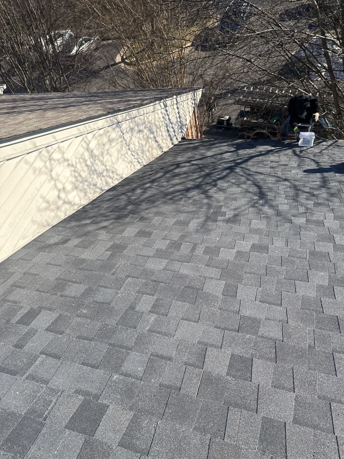 Burke: Residential Roof Replacement with CertainTeed Landmark Pro in Max Def Moire Black by RM Banning, Inc.