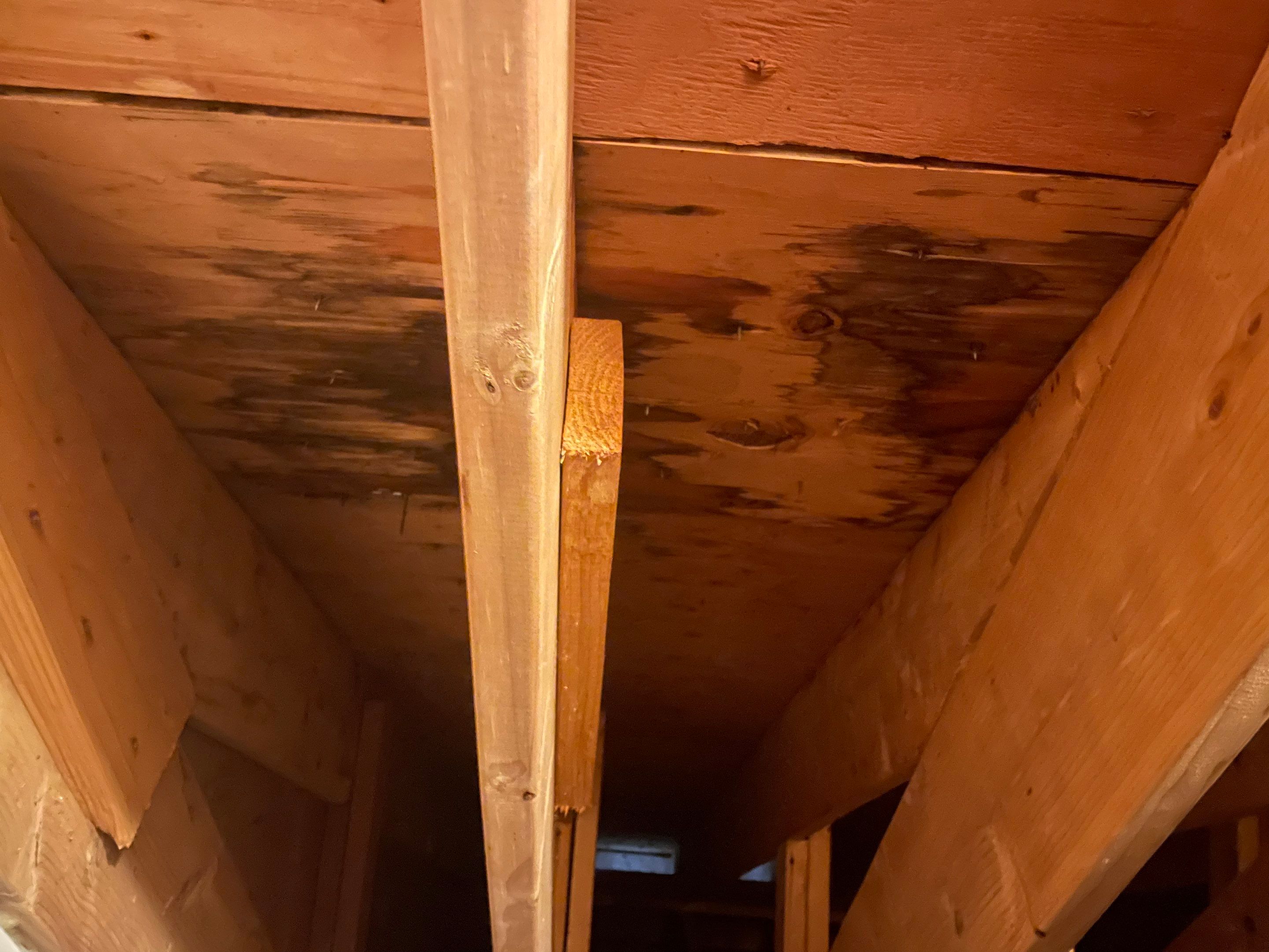 Residential Roofing Repairs by Noble Roof and Remodel LLC