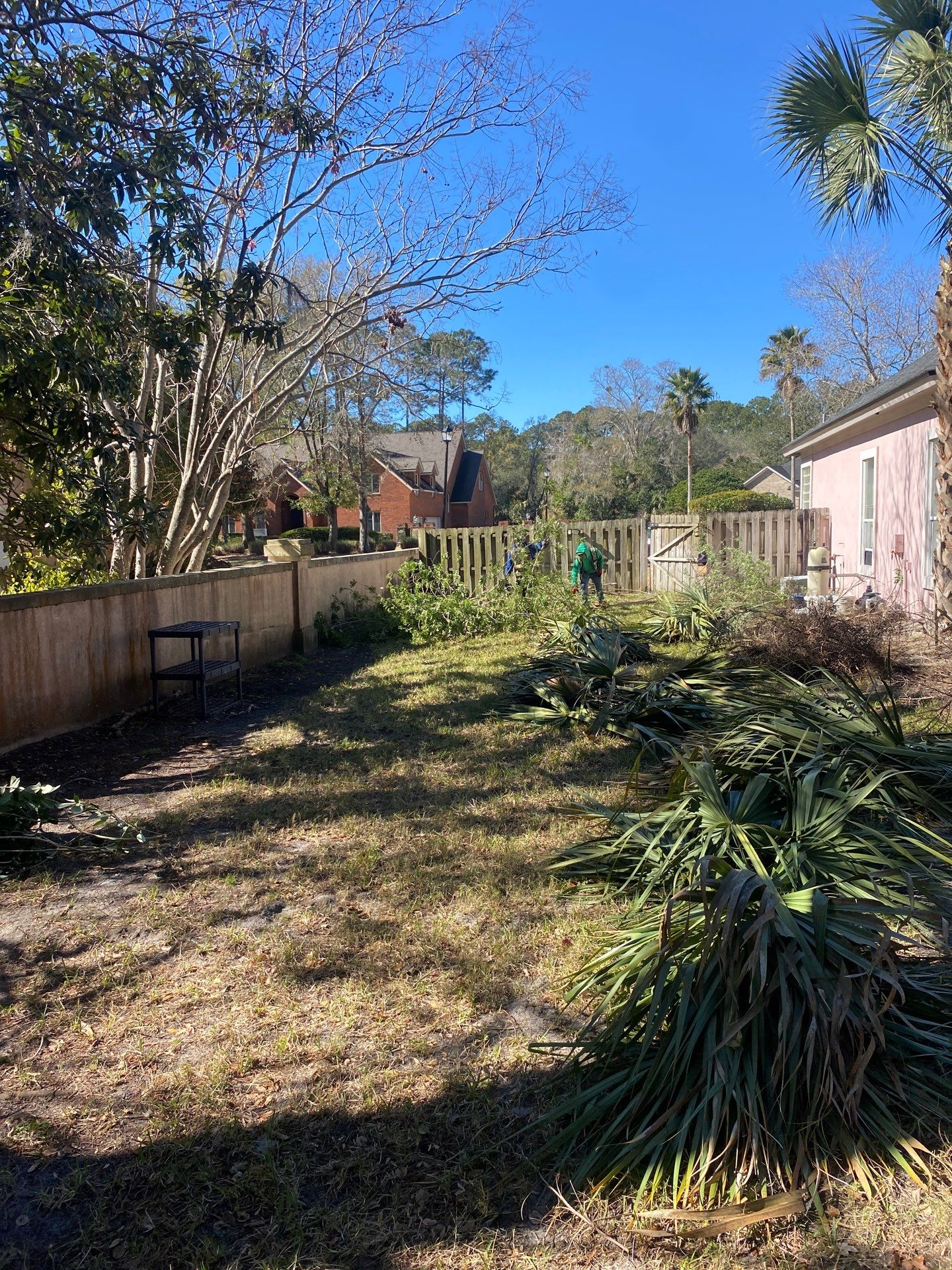 Deerwood Resident | Tree Removal & Clean-Up by ProGreen Services