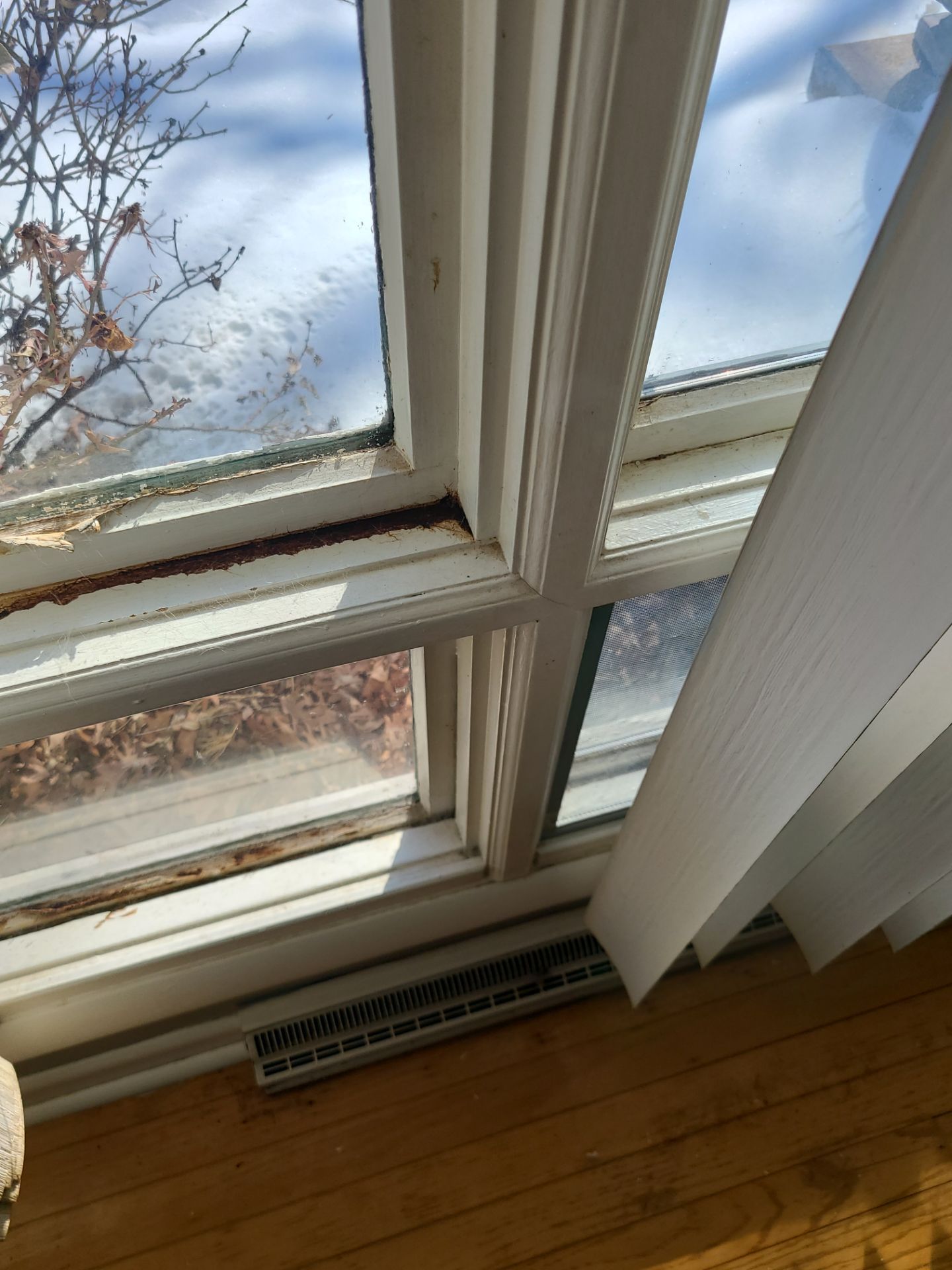 Door and Windows by Aspen Home Improvements