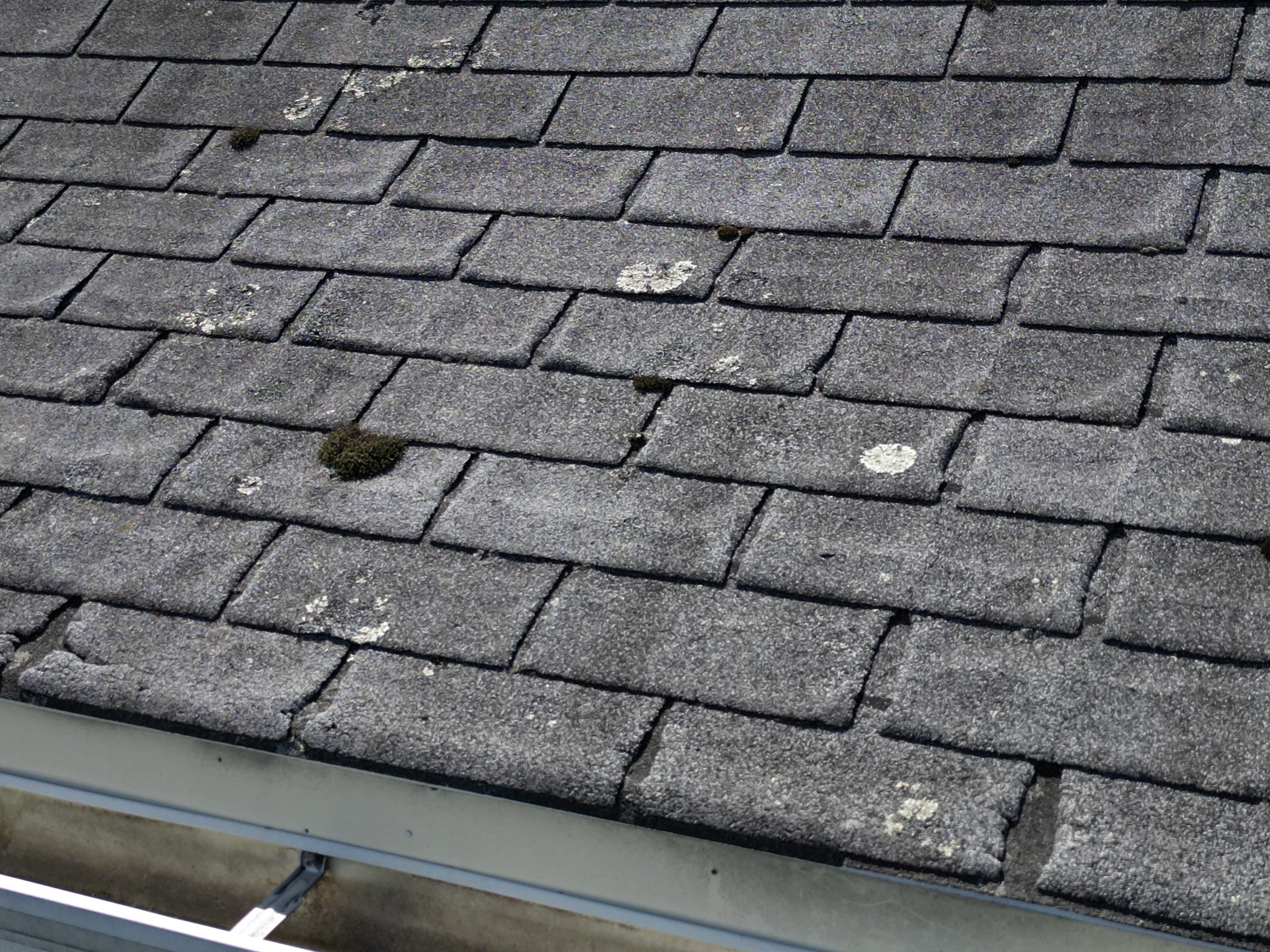 Roof Replacement with Skylight Flashing in Waltham, MA by Mighty Dog Roofing of Greater Middlesex County