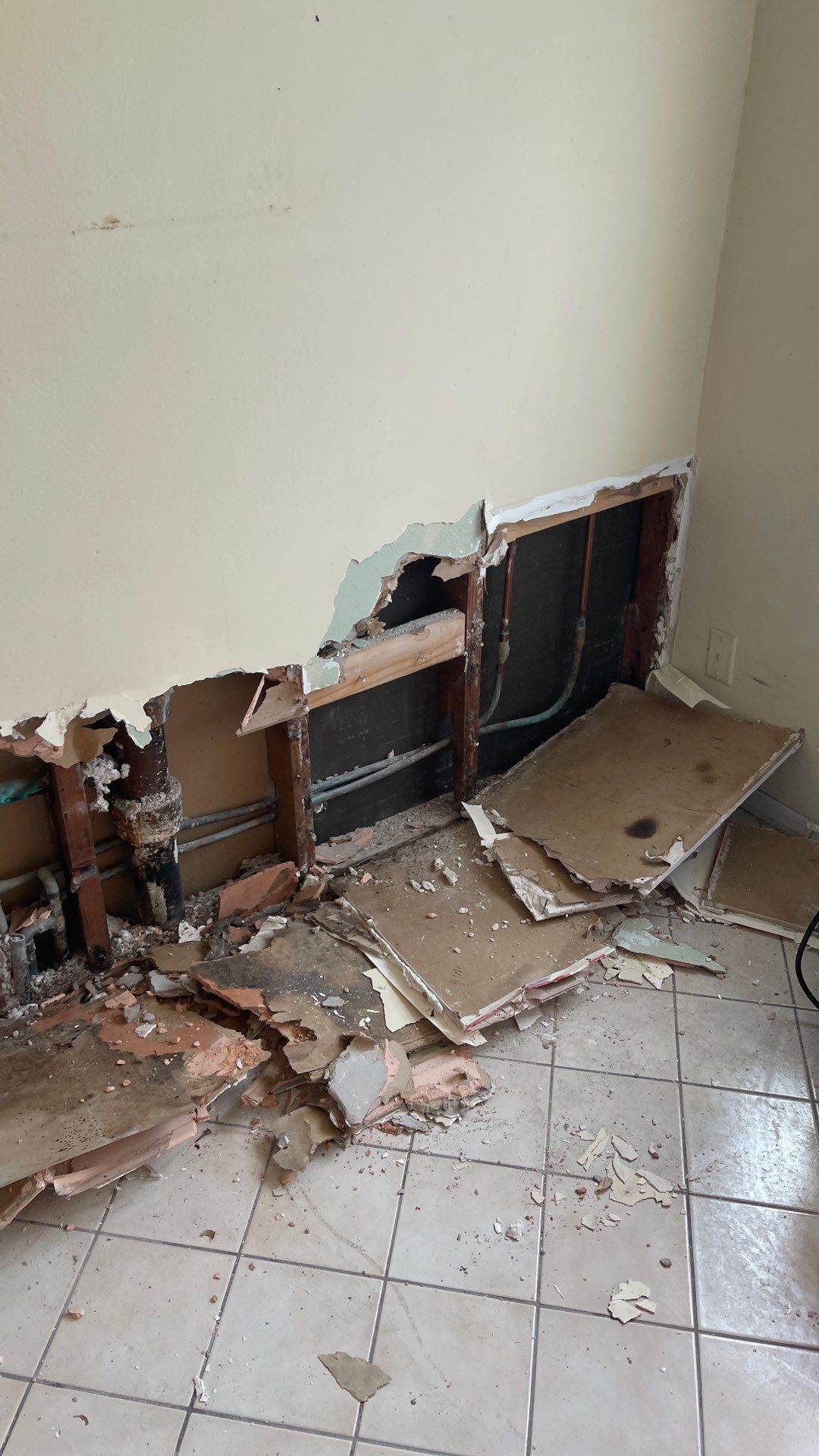 Mold Remediation  by THE RAPID TEAM