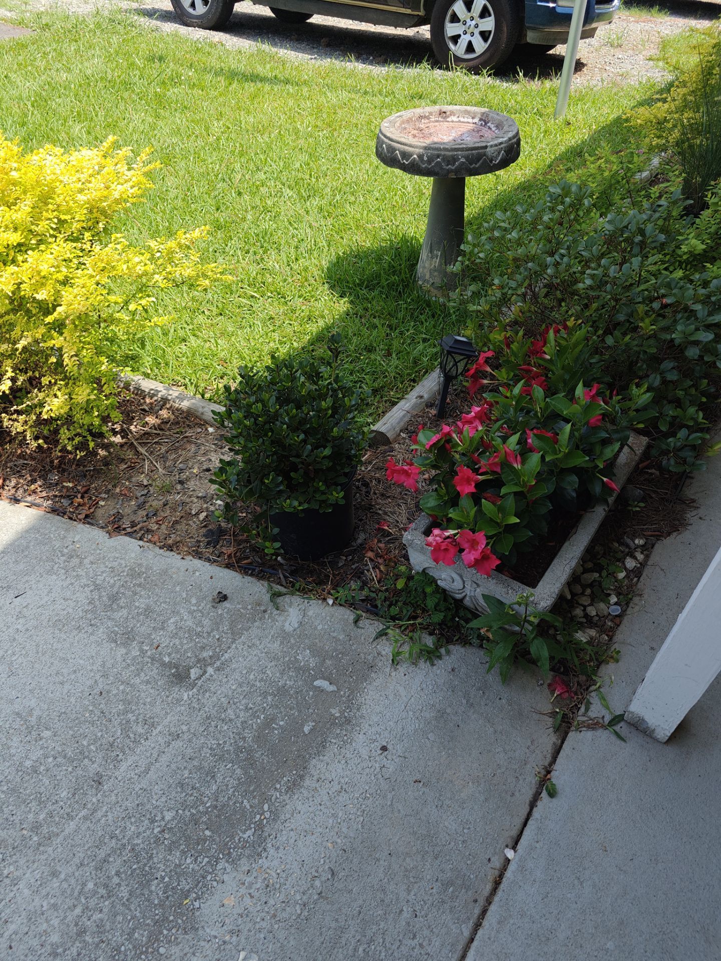 Weekly Landscaping  by College Bros Outdoor services