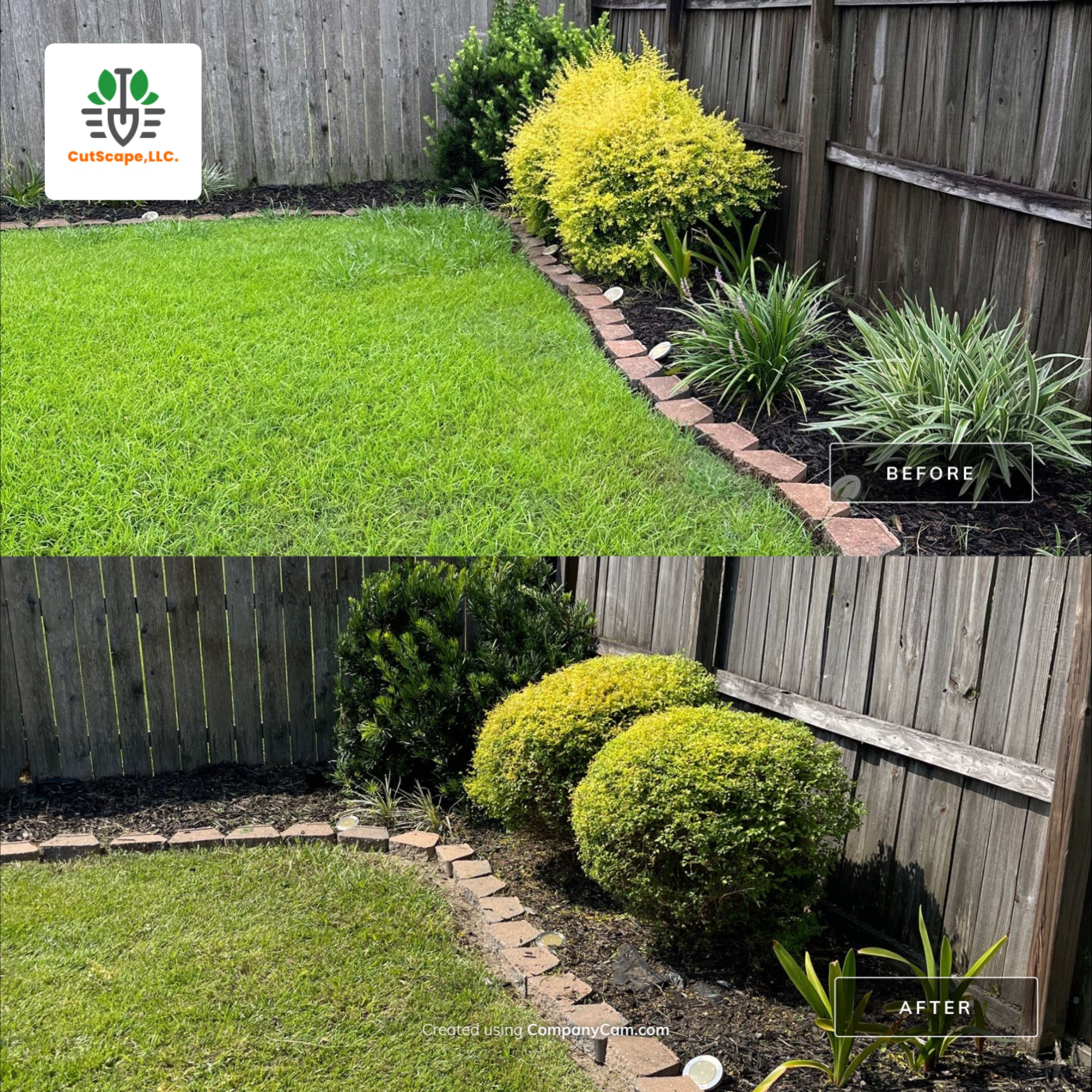 HEDGE TRIM / BED CLEAN / MULCH INSTALL using BROWN MULCH "BARK BRITE" by CutScape, LLC.