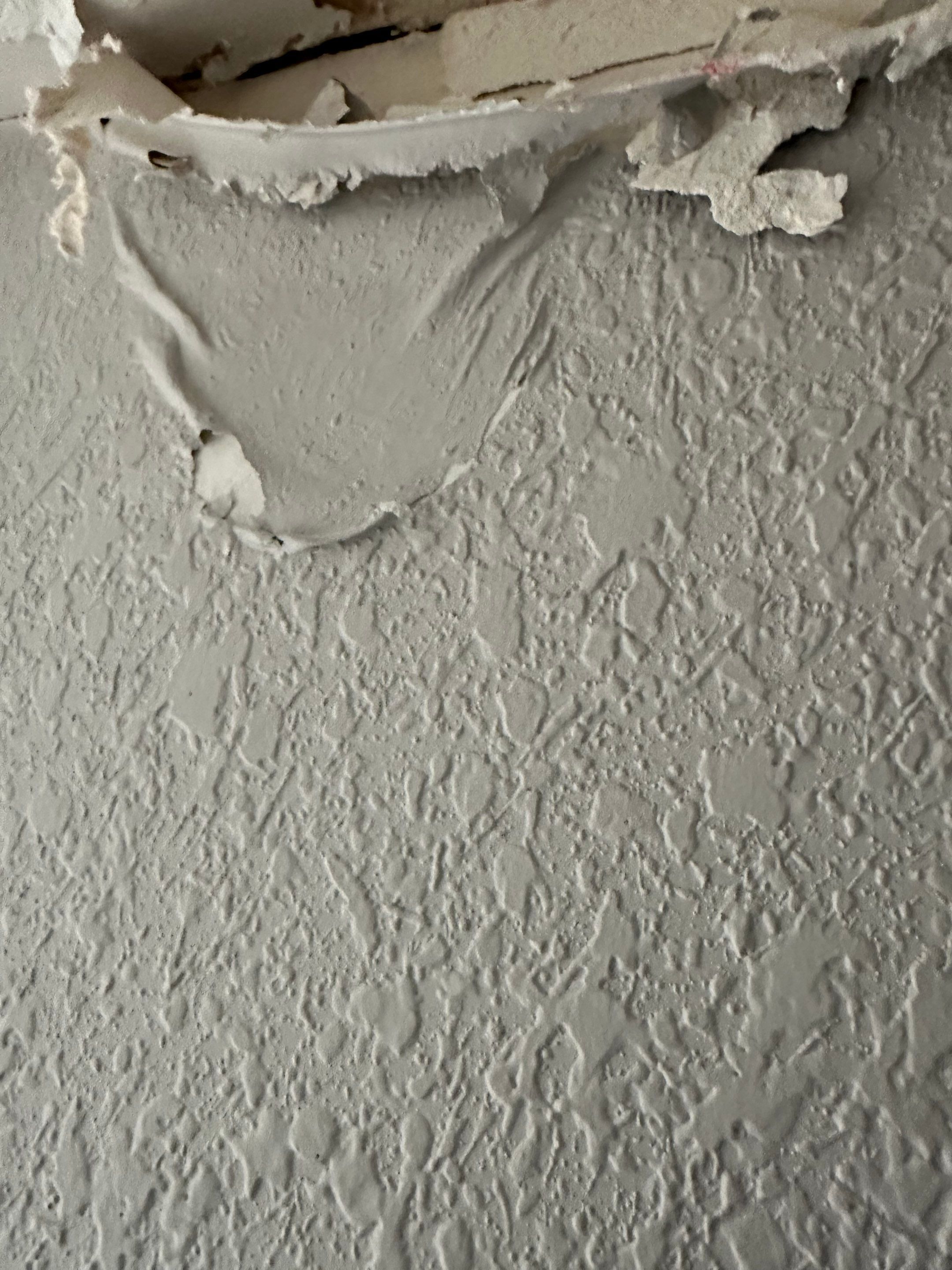 Mold Remediation in Denver, CO by Alpha Restoration 