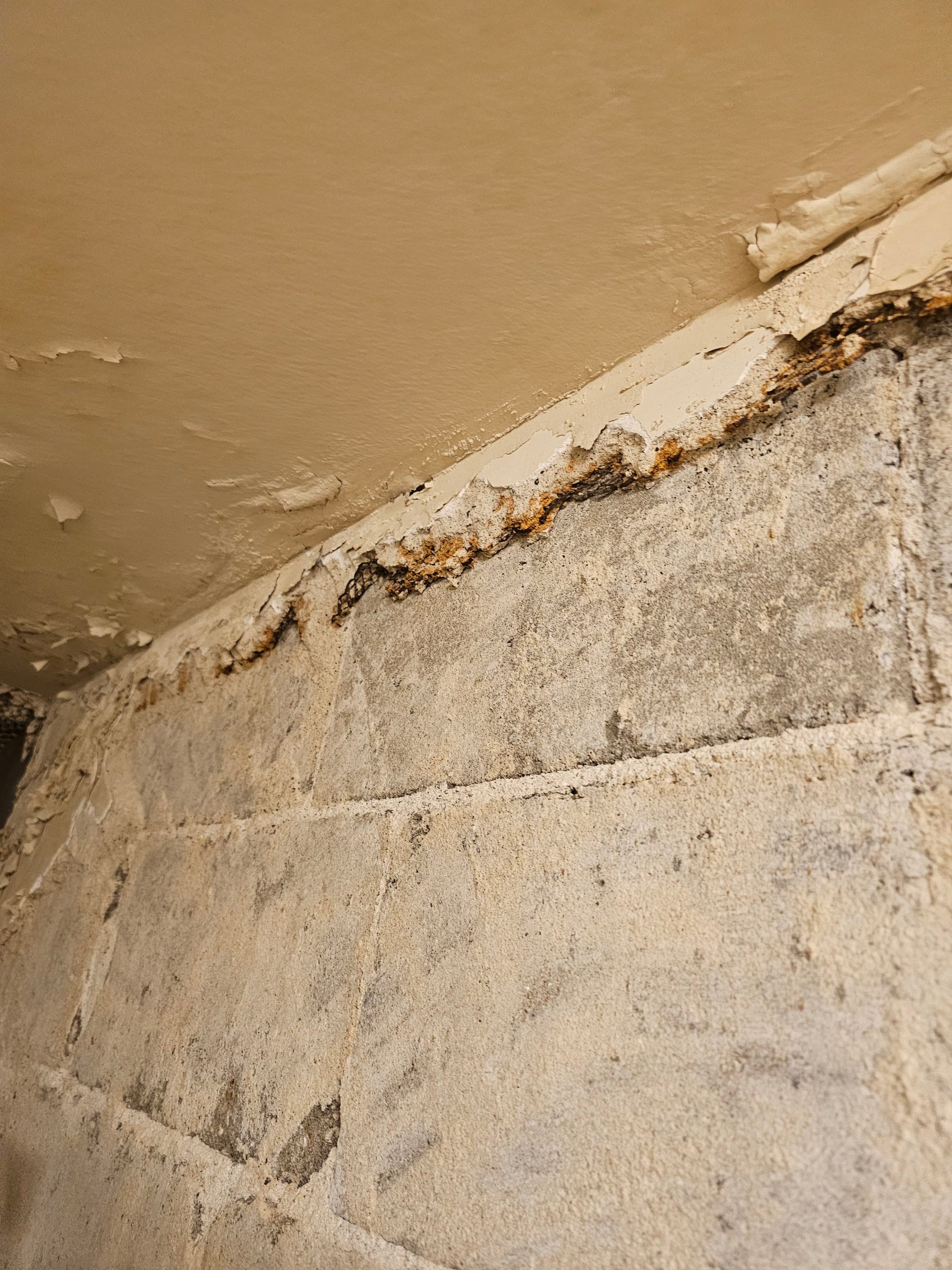 Showers & Storage by EL-GC LLC 