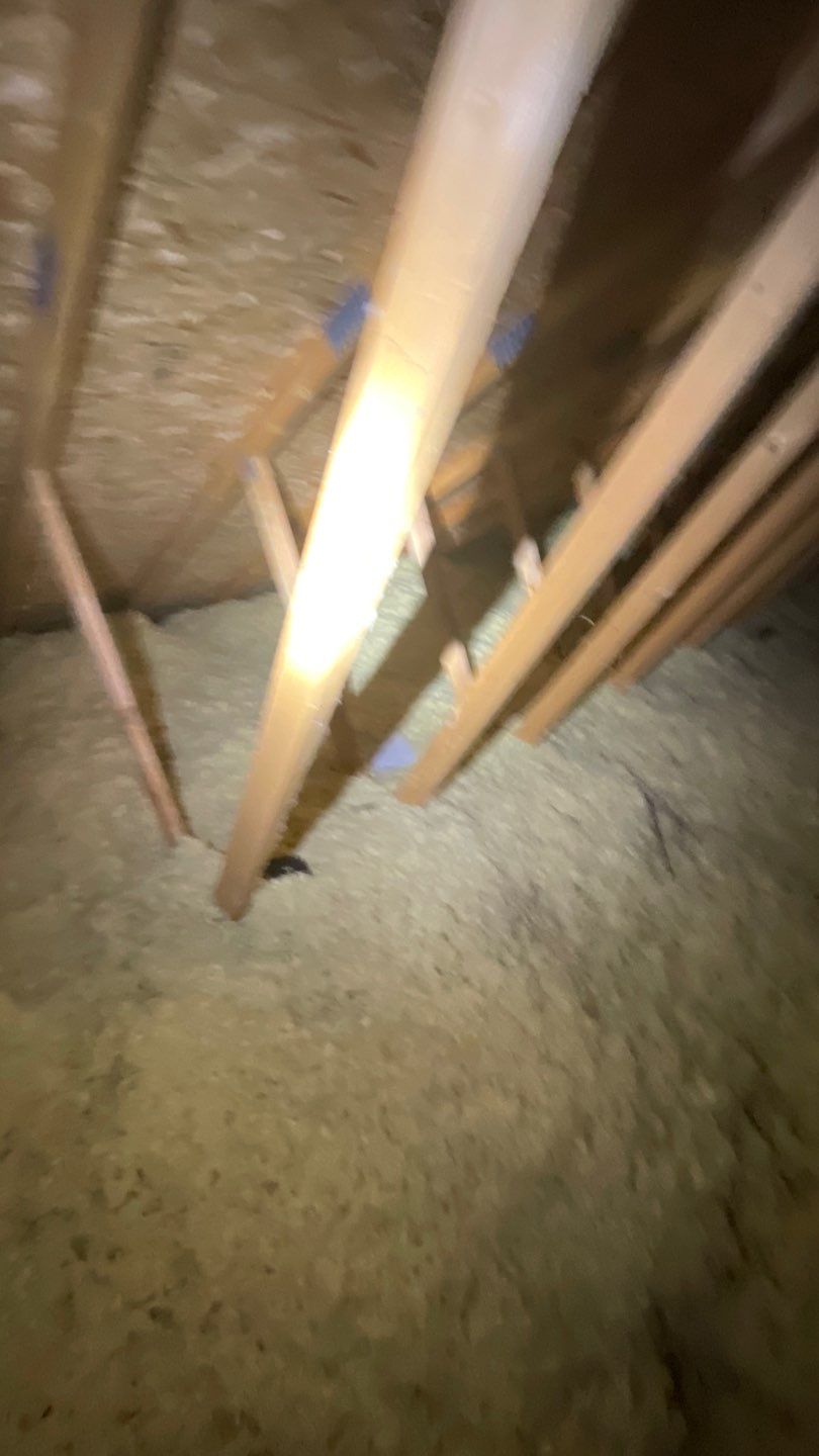 Fire Damage Project in Louisville by Accountable Home Services
