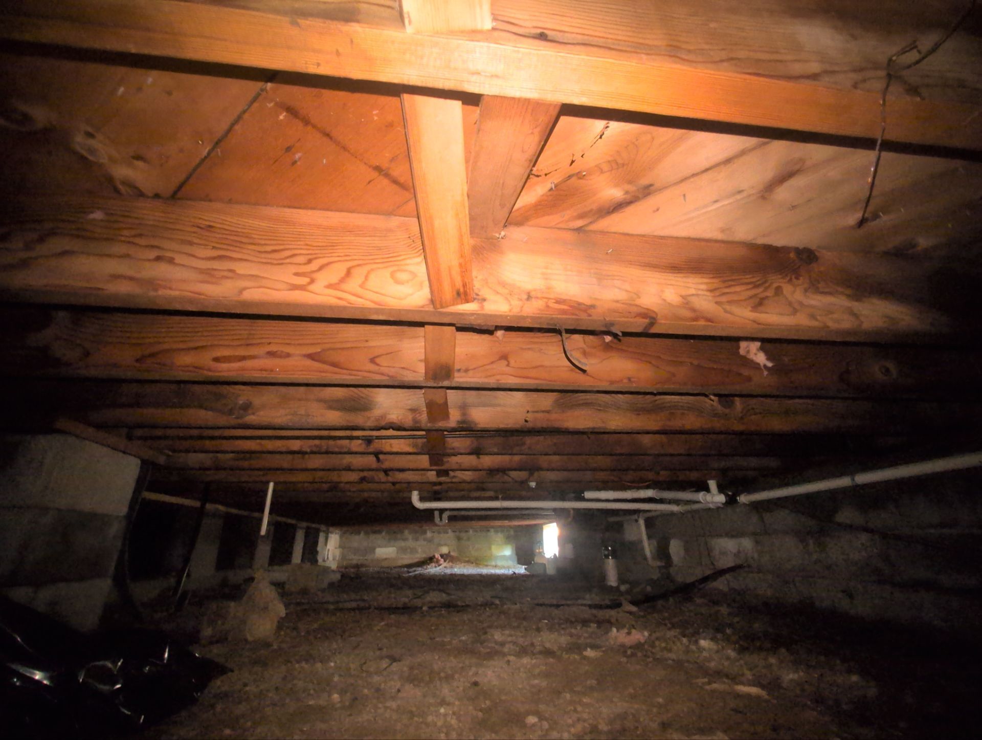 Remediate mold in crawlspace of Mingo Junction Ohio home. by Home Environment Solutions