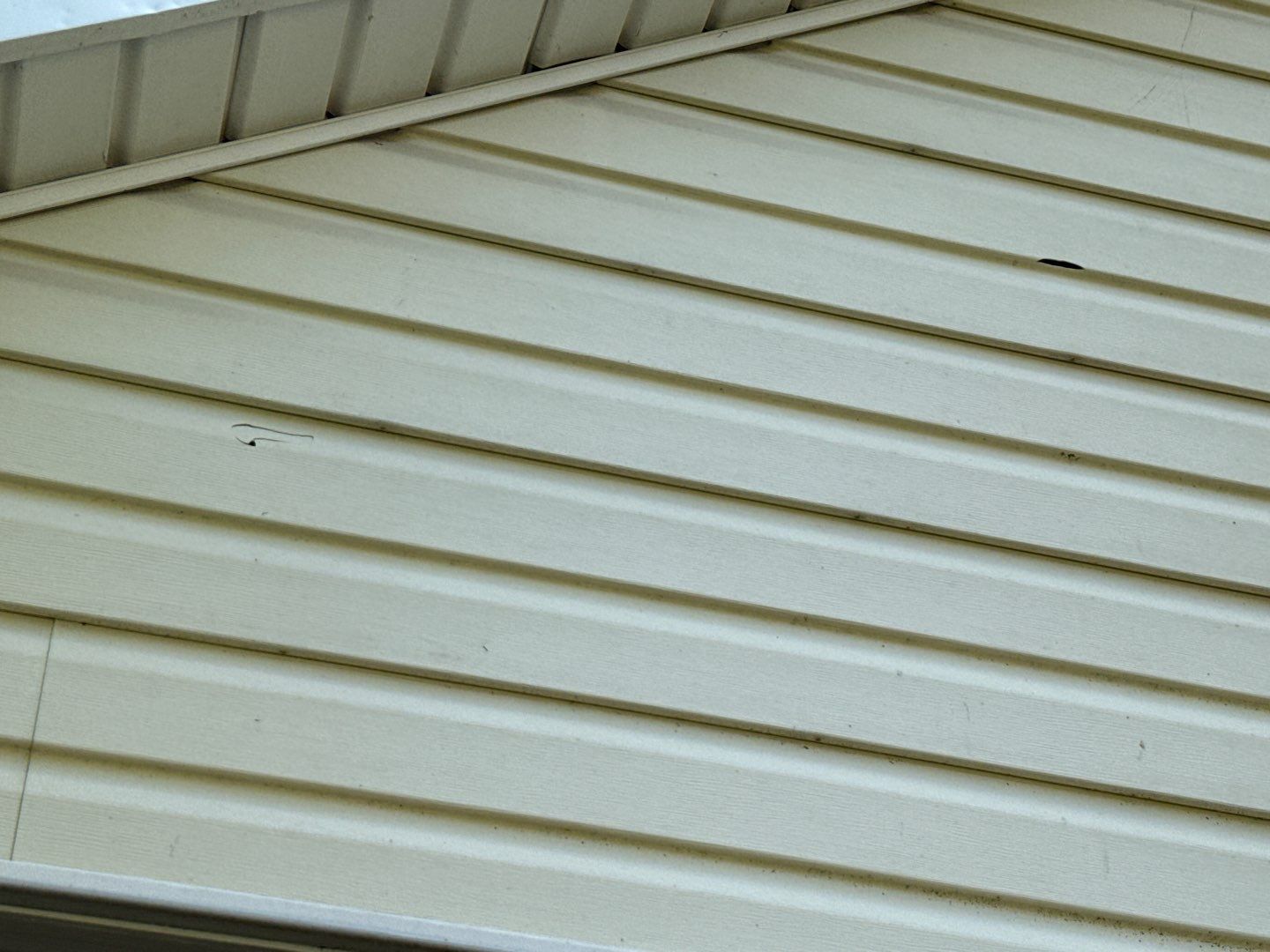 Jonathon Salmons Hail & Tree Damage Report by Constructive Project Management