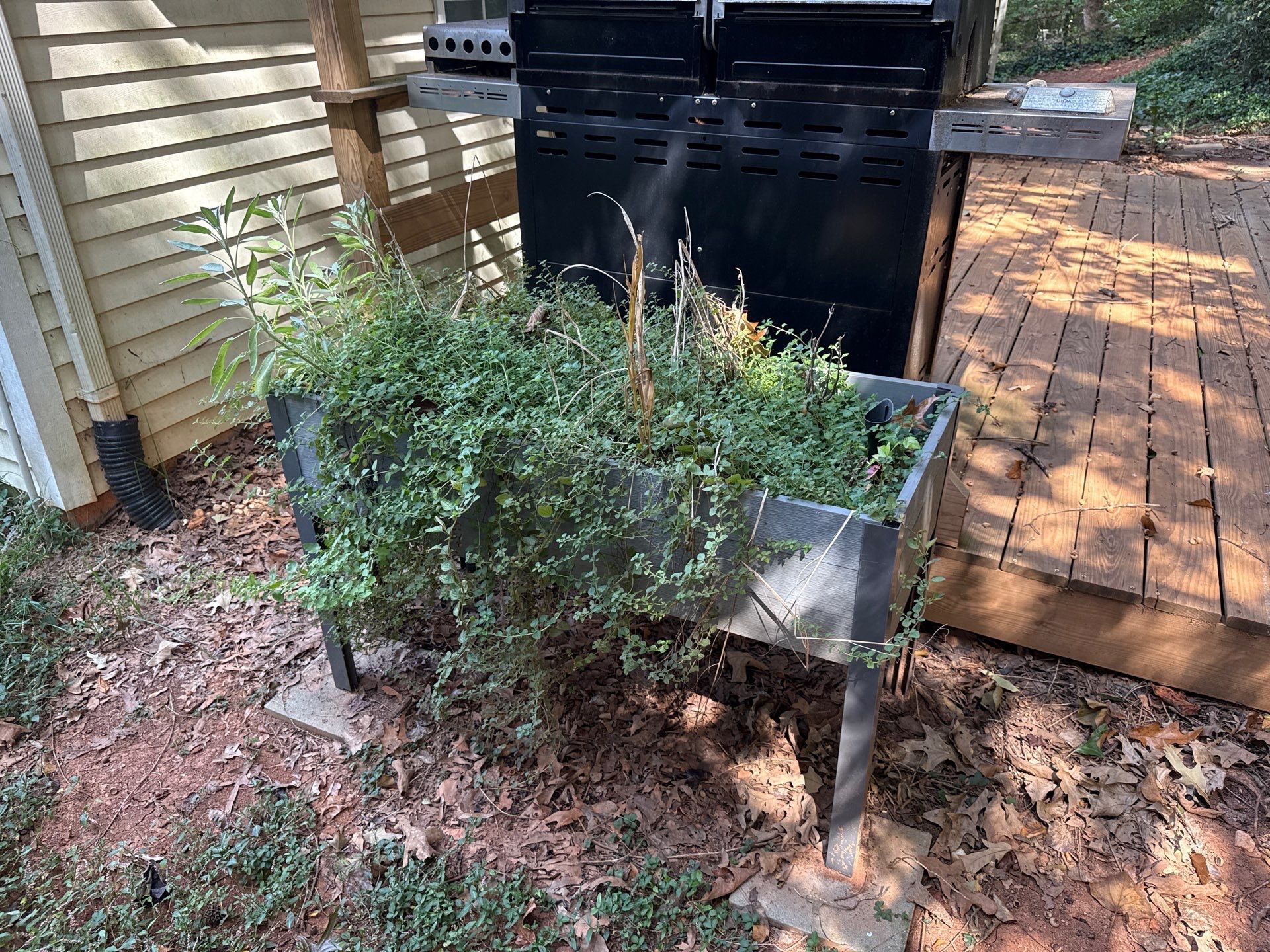 Project in Charlotte by Badger Hauling