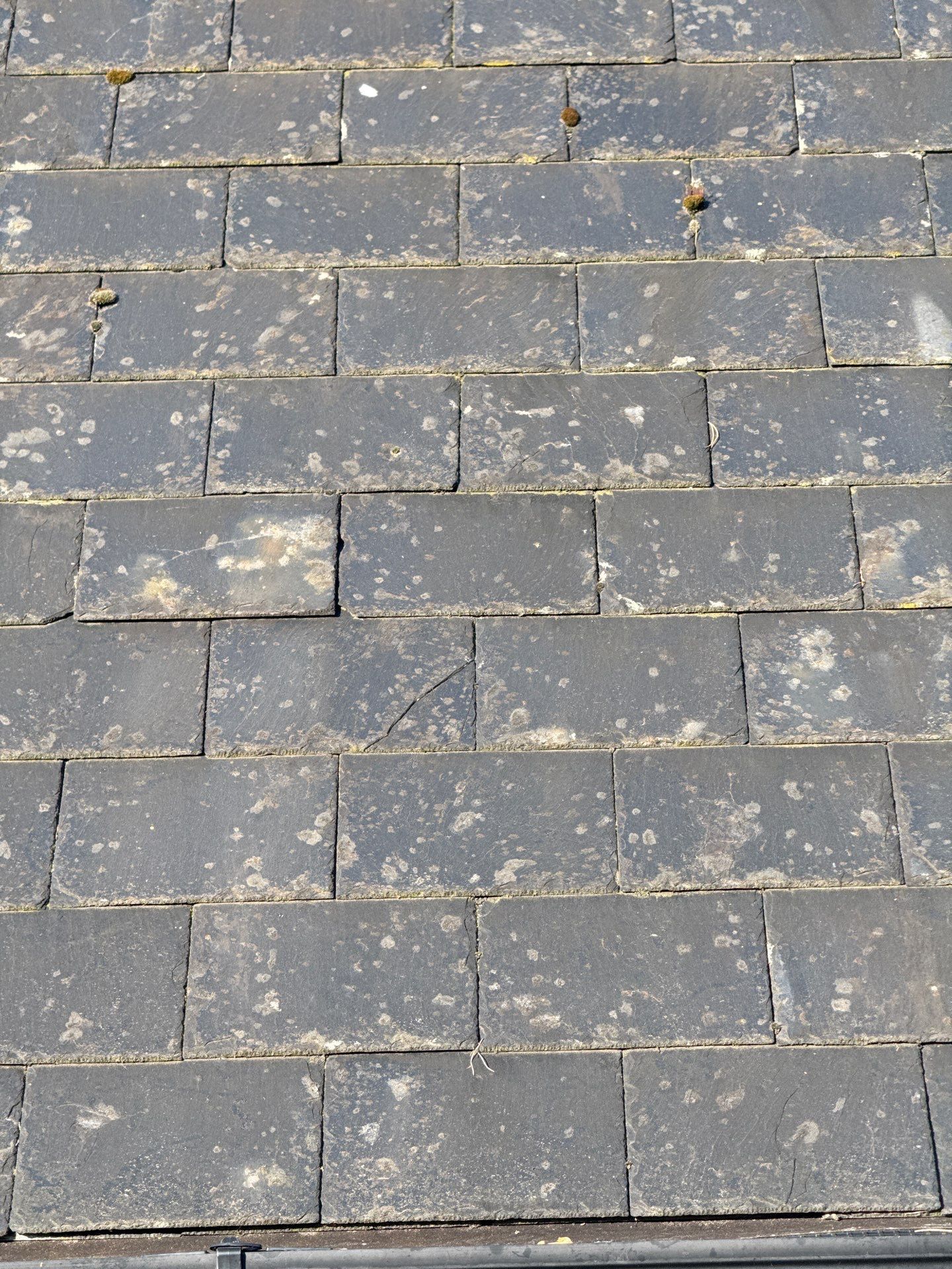 Render and Roof clean using Softwash Equipment by Ges Exterior Cleaning ltd