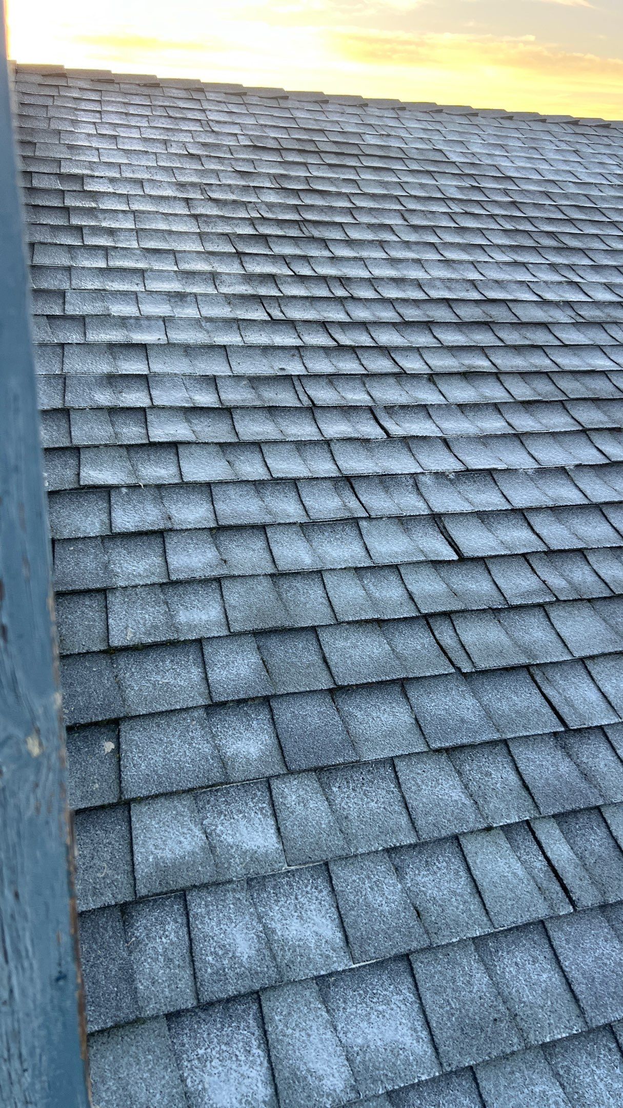 Roof Rejuvenation using Roof Maxx Treatment by Roof Maxx of Folsom