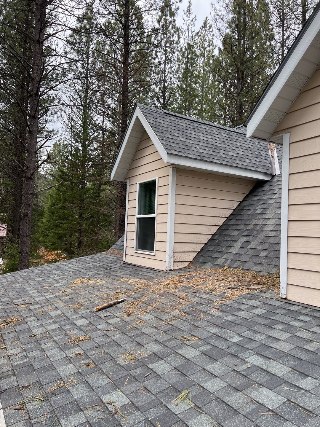 Green Snap Lock Standing Seam  by Montana Roofing Solutions