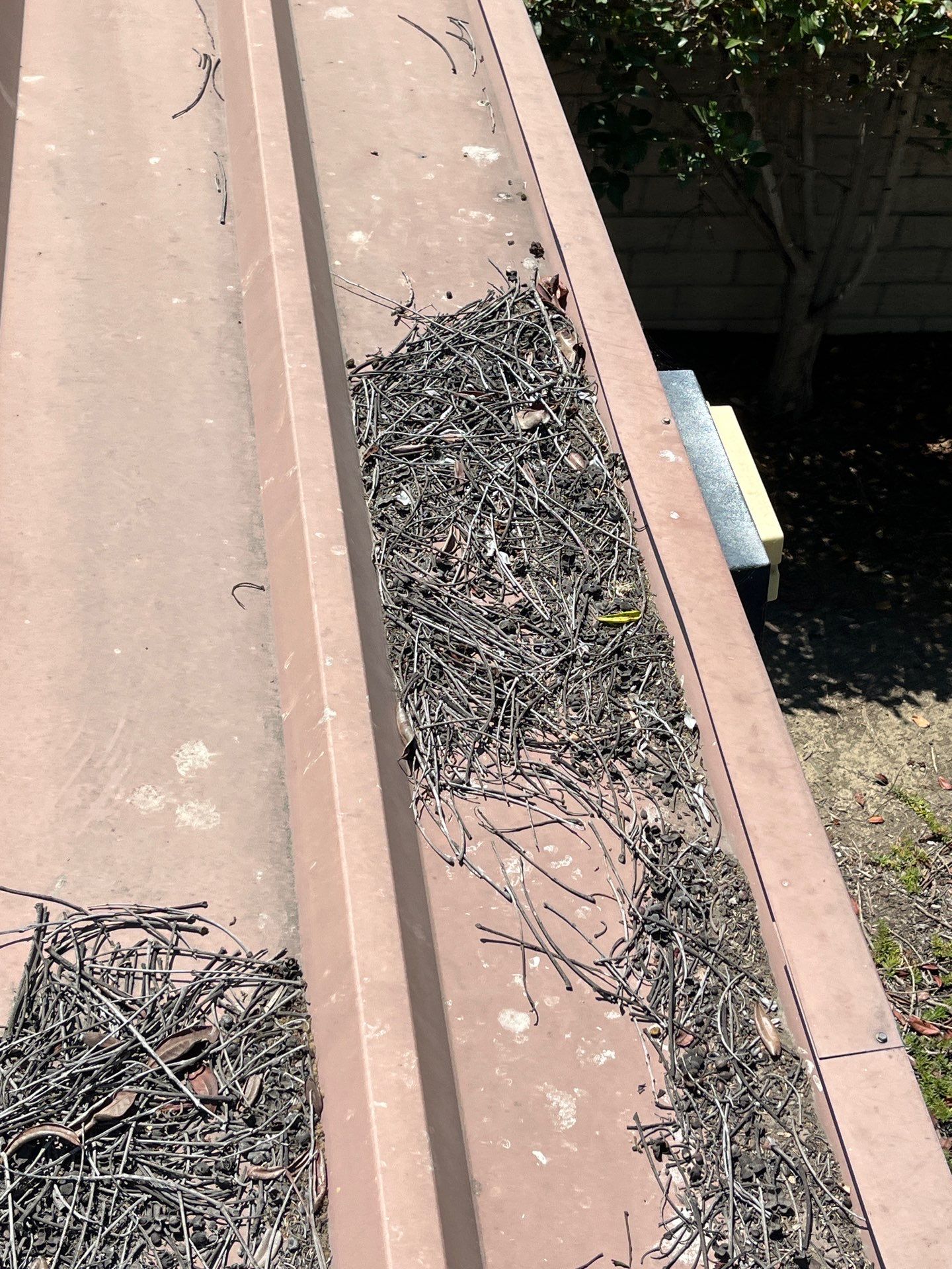 HOA gutter cleaning before photo