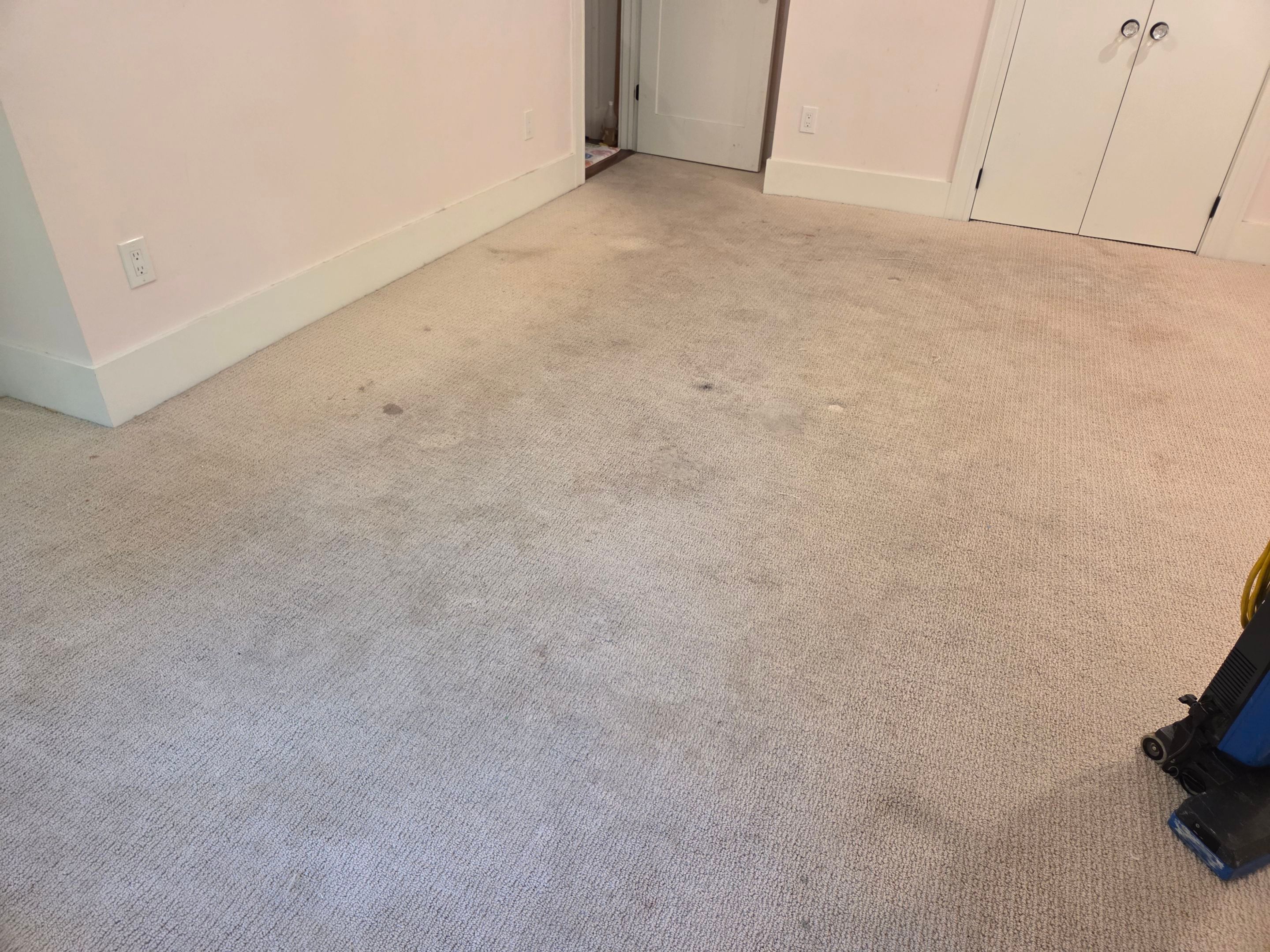 Heavy Carpet Clean with Imperfections by Ardent Carpet Restore LLC