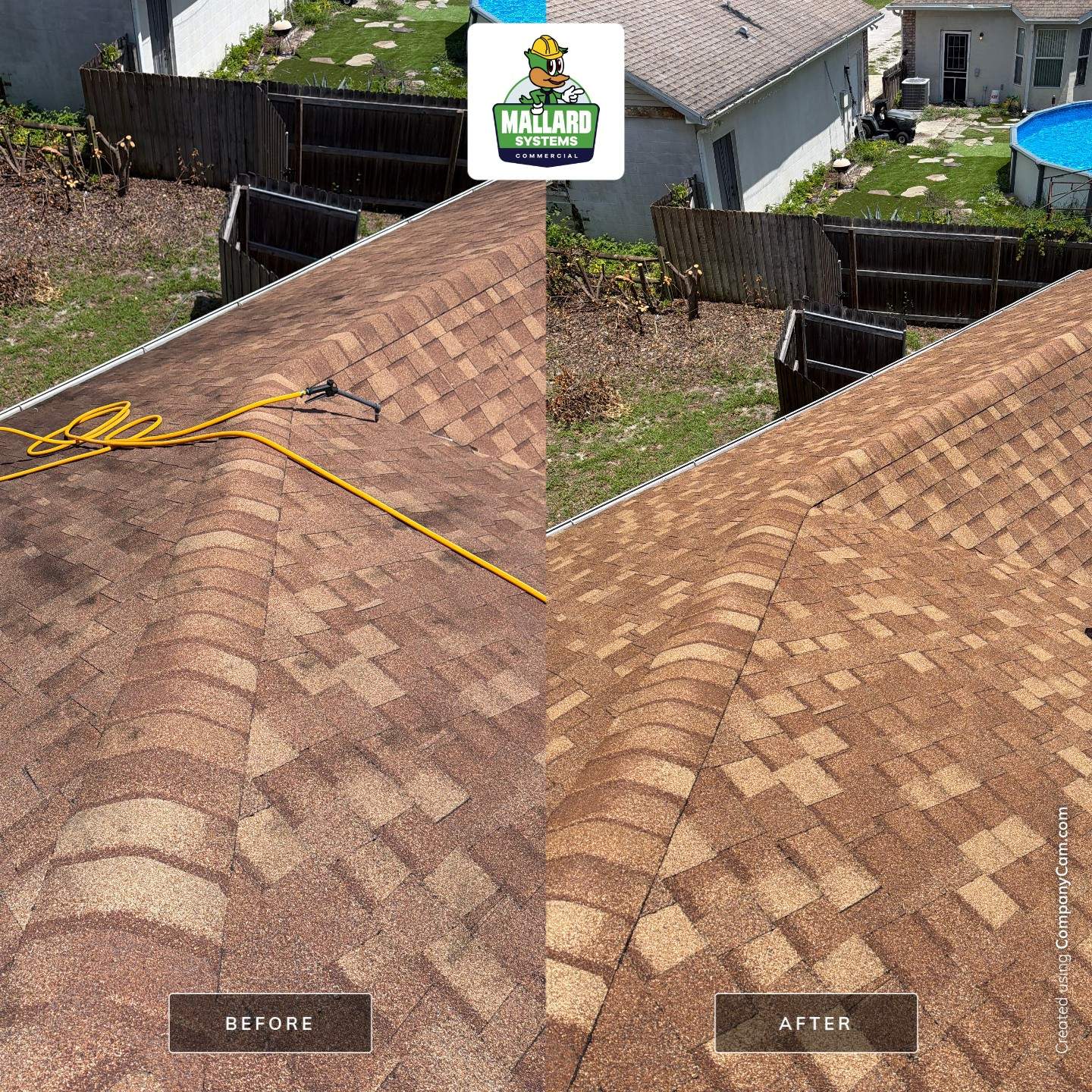 Residential Shingle Roof Cleaning for Sorrento Property by Mallard Systems