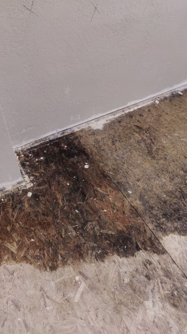 Water Damage Restoration by Accountable Home Services