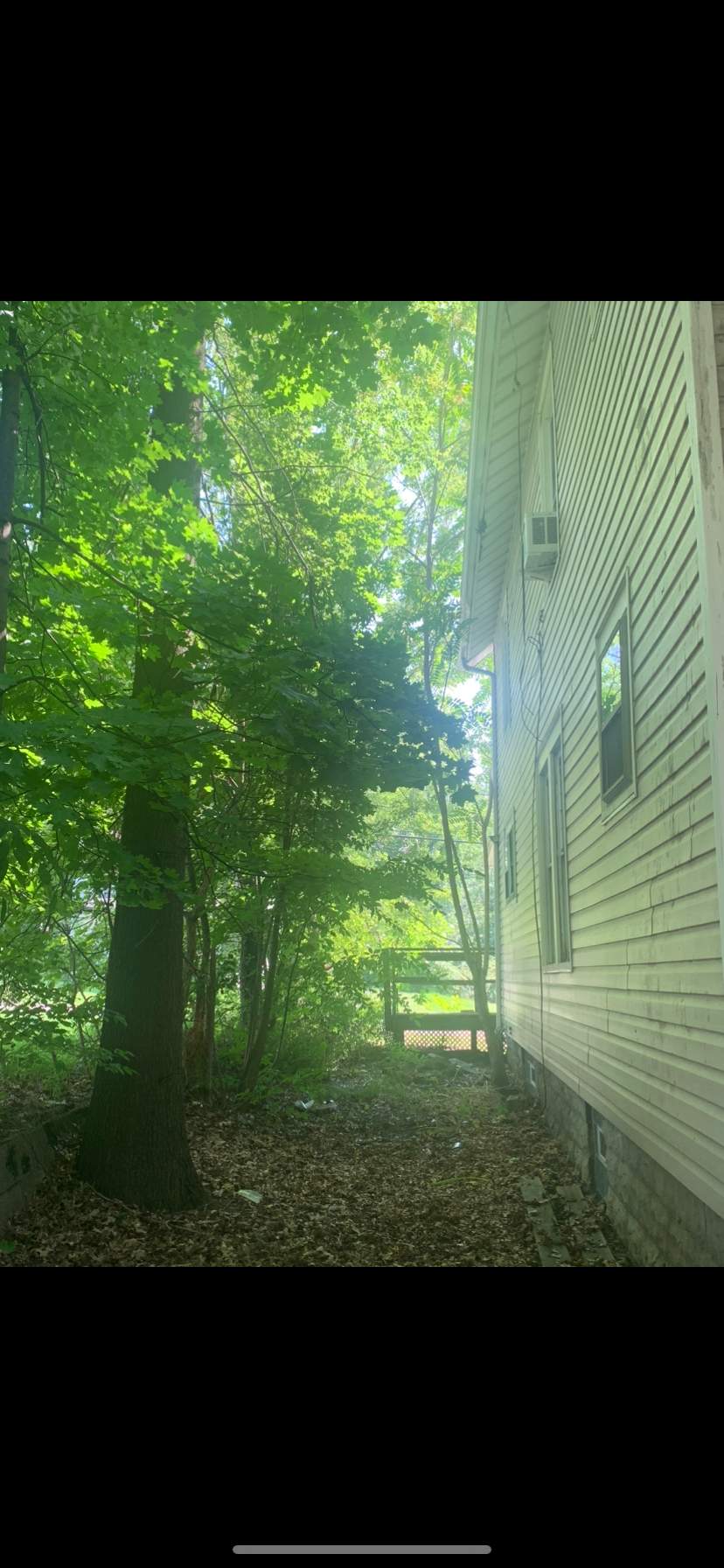 Tree Trimming using Tree Pruing by Mike Jones & Sons Tree Service LLC 