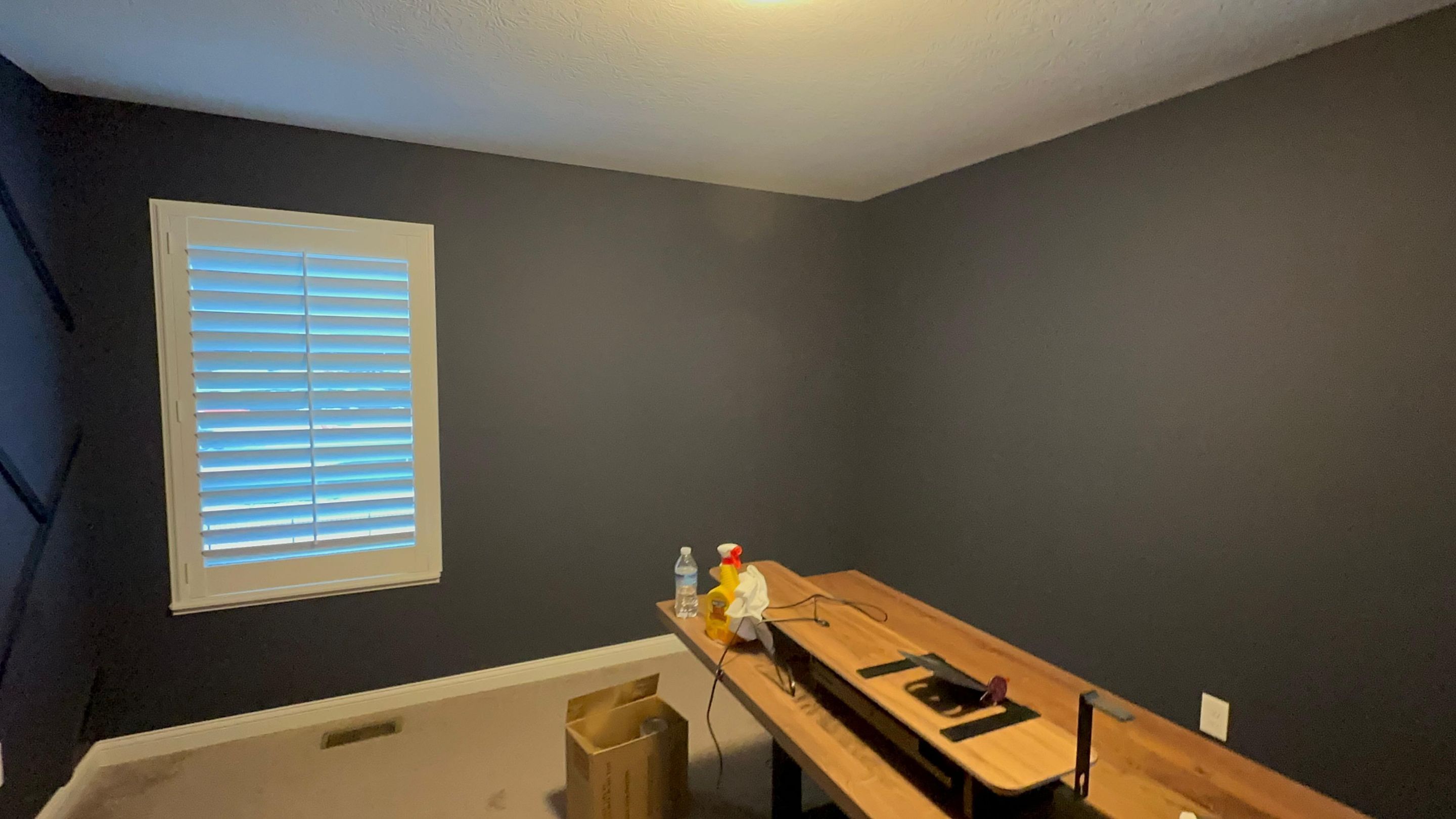Accent Wall in Delaware, Ohio (Shawnee Hills) by Columbus Painting