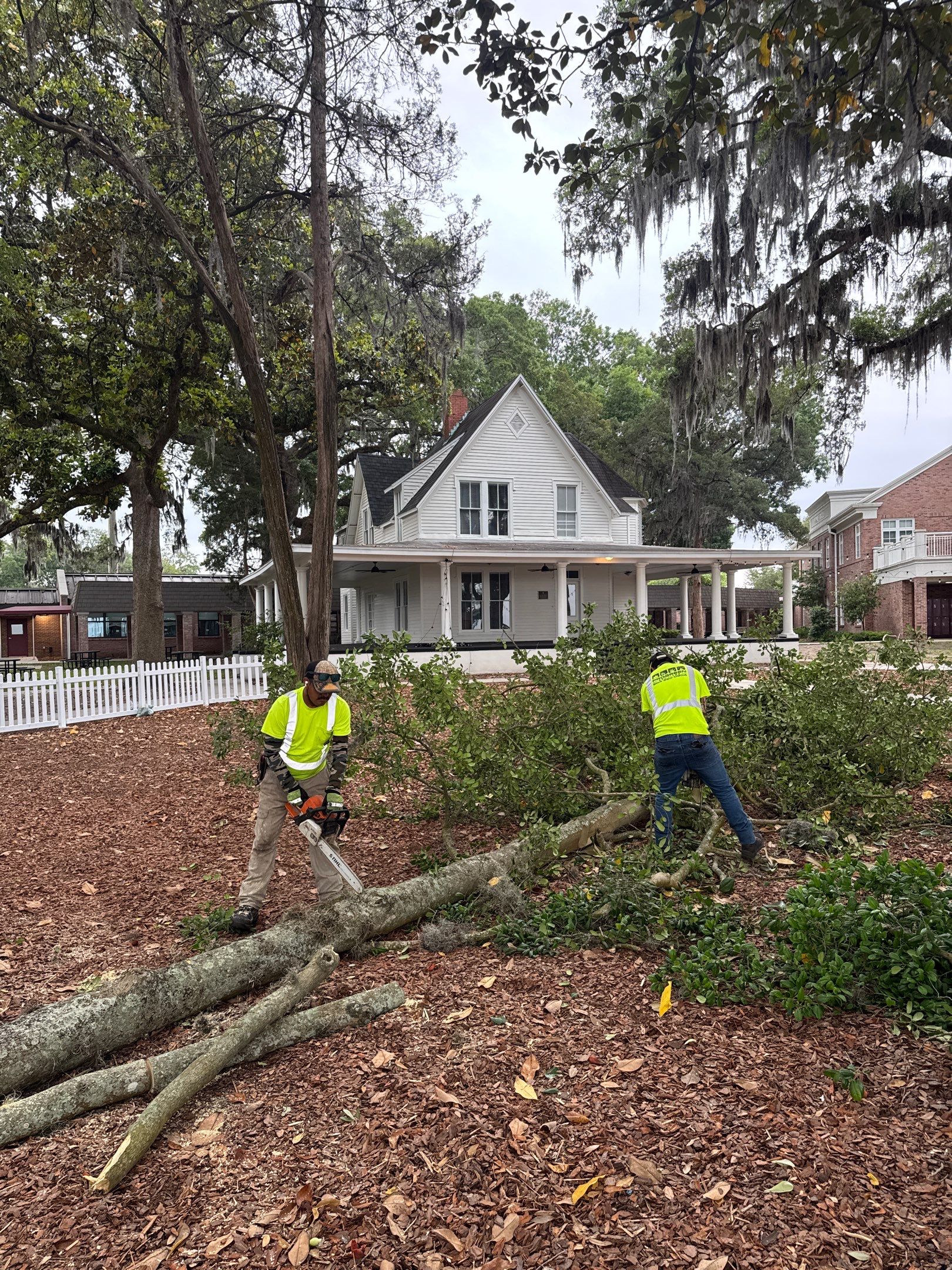 Episcopal School of Jacksonville | Tree Service by ProGreen Services