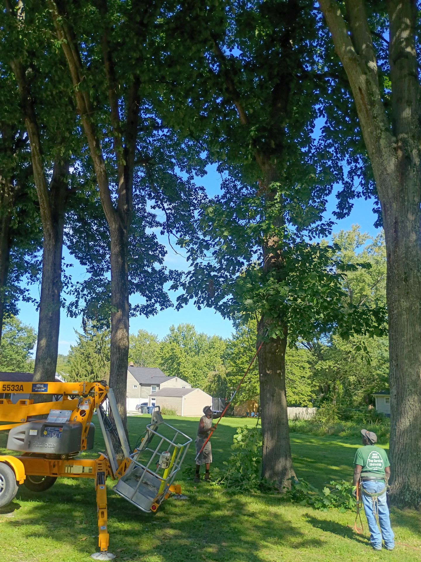 Tree Trimming & Tree Removal in Akron Ohio by Mike Jones & Sons Tree Service LLC 