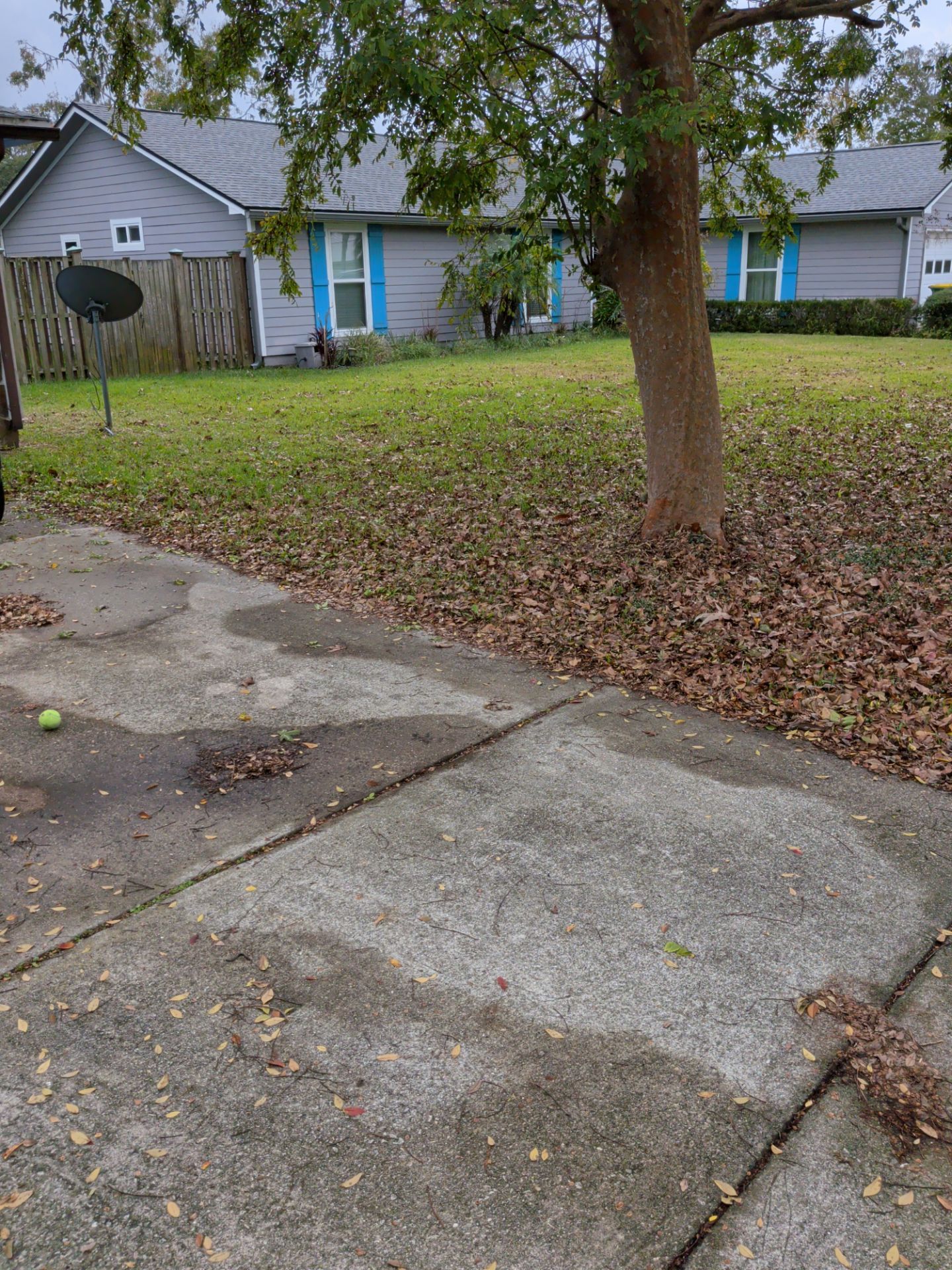 Pressure Washing/Soft Wash & Lawn Care Service — Jacksonville Beach Area by Harmoni Home Services