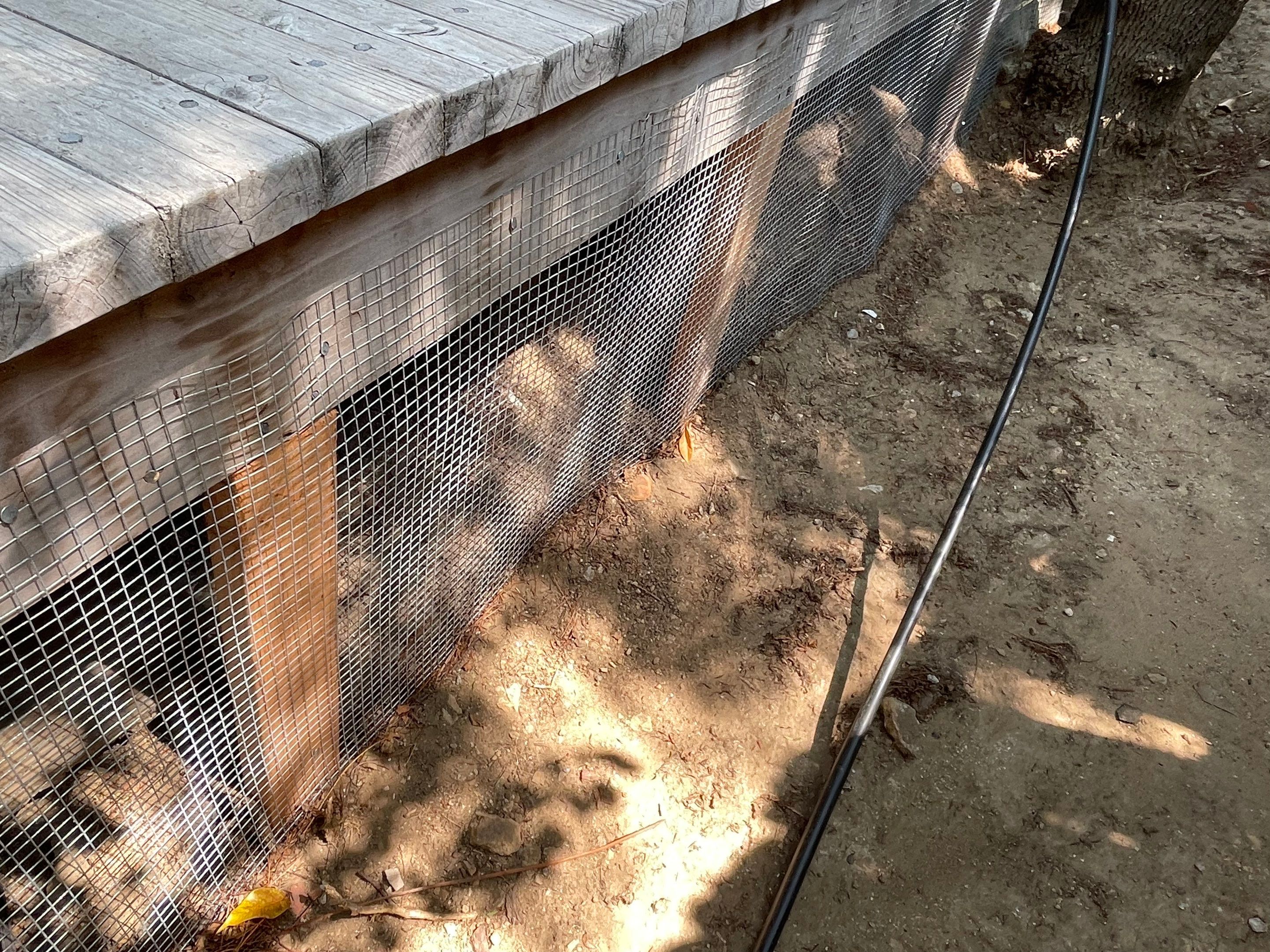 Wood Destroying Organisms Report by GLOBAL Termite Solutions