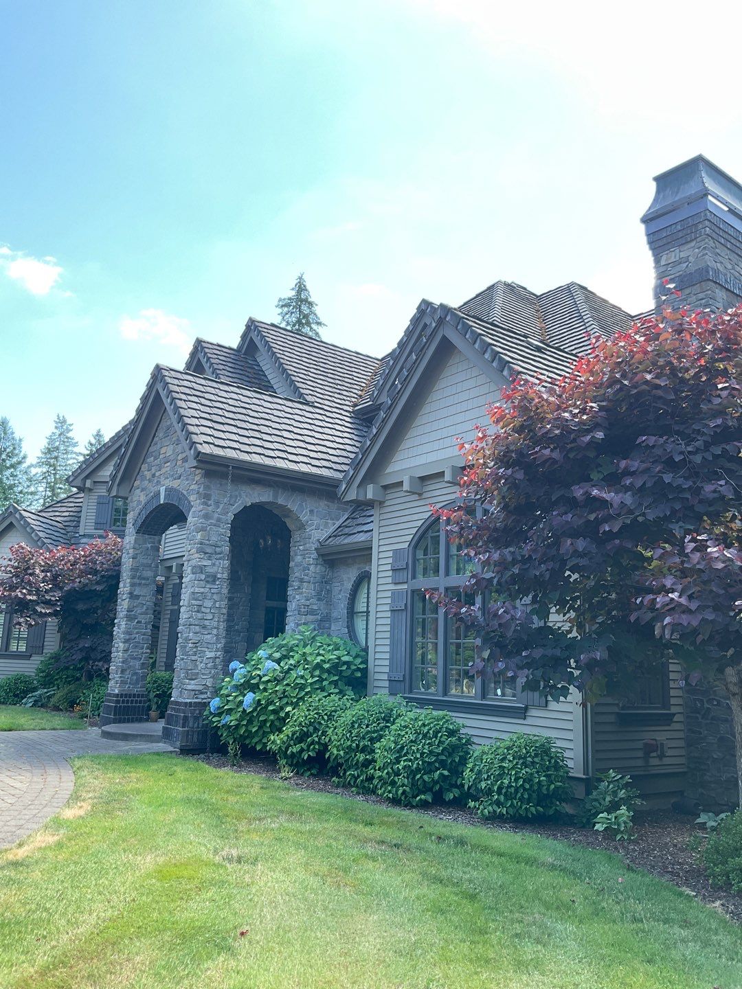 Moss Removal/ Treatment using Biocide by Willamette Outdoor Wash LLC