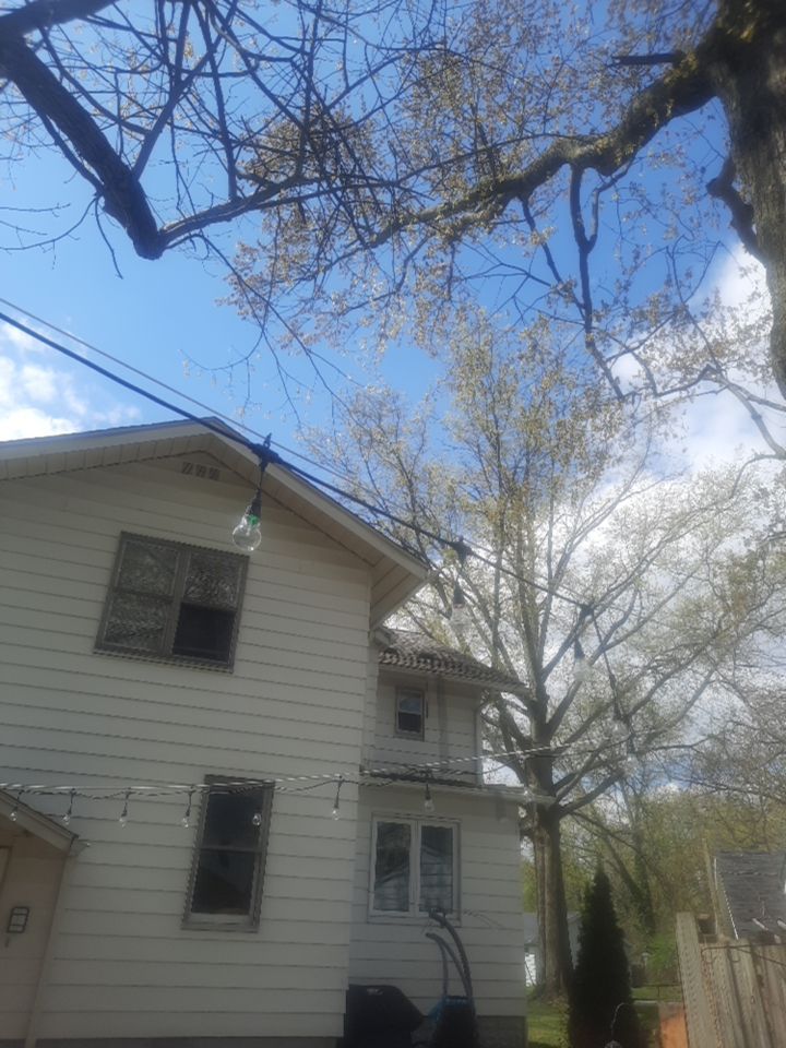 Tree Trimming using Tree Pruing by Mike Jones & Sons Tree Service LLC 