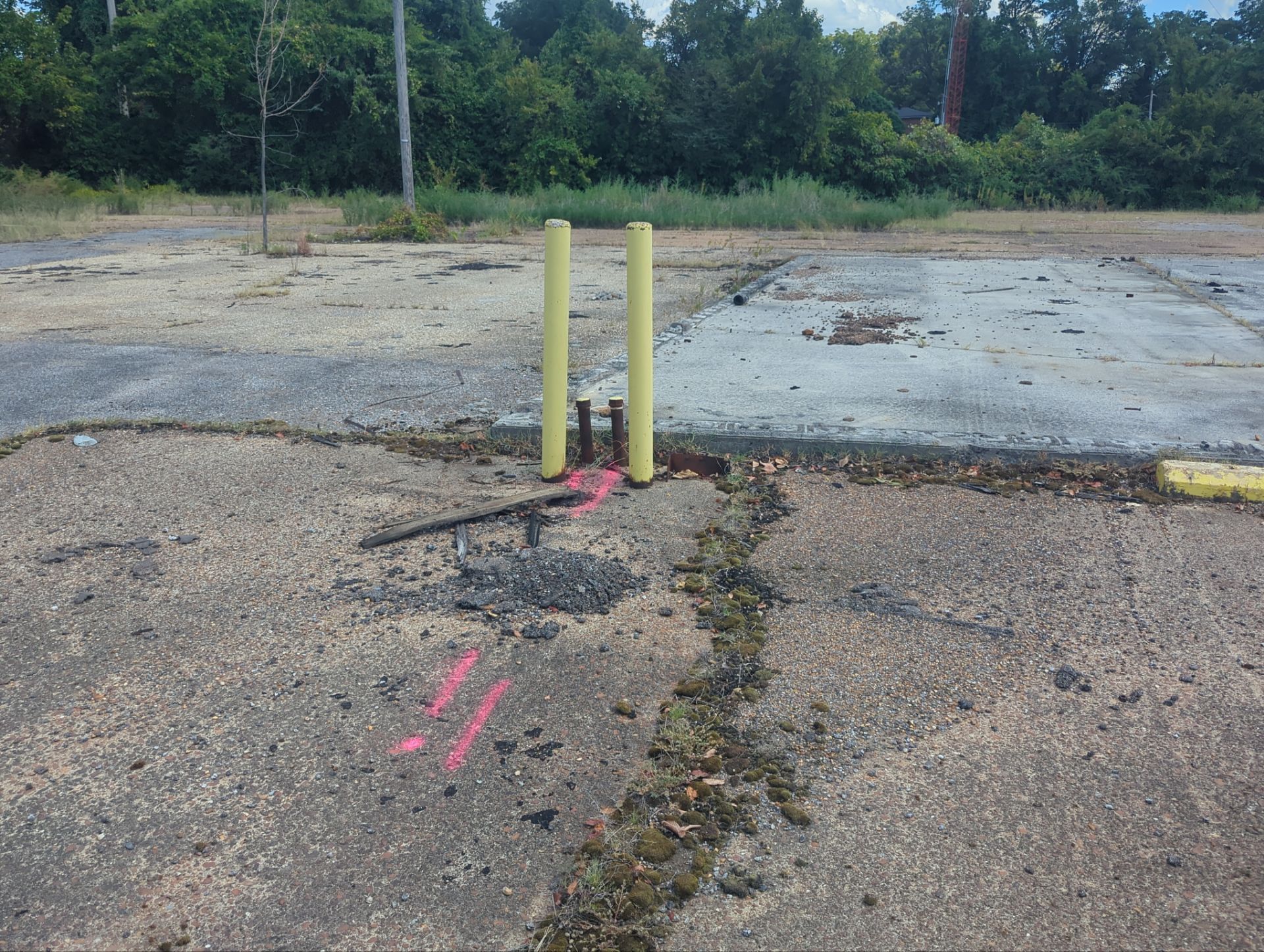Utility Locate and Utility Mapping for Survey by Alsip Locating Service, LLC