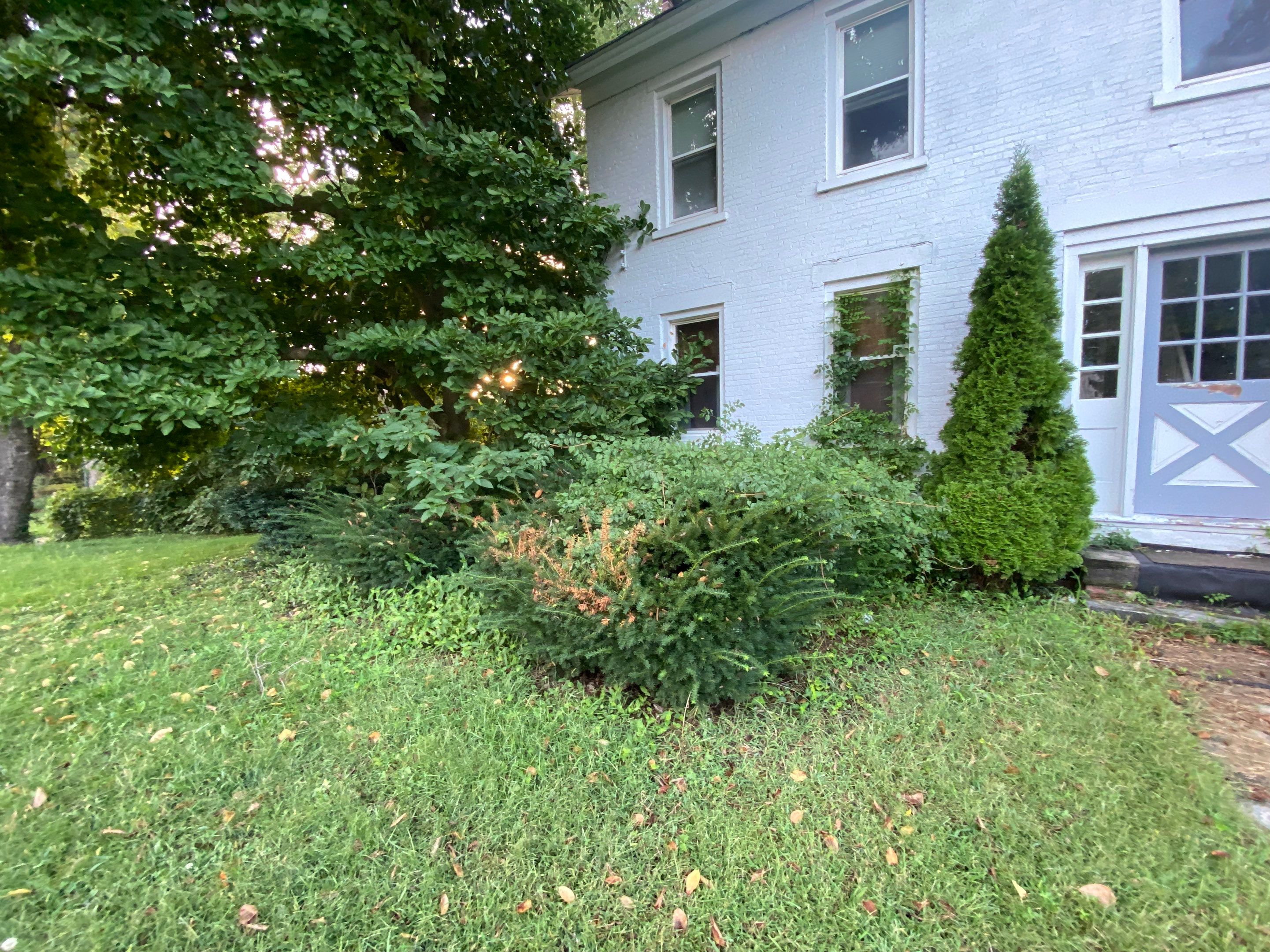 Grounds Maintenance by Elm Rose Gardens