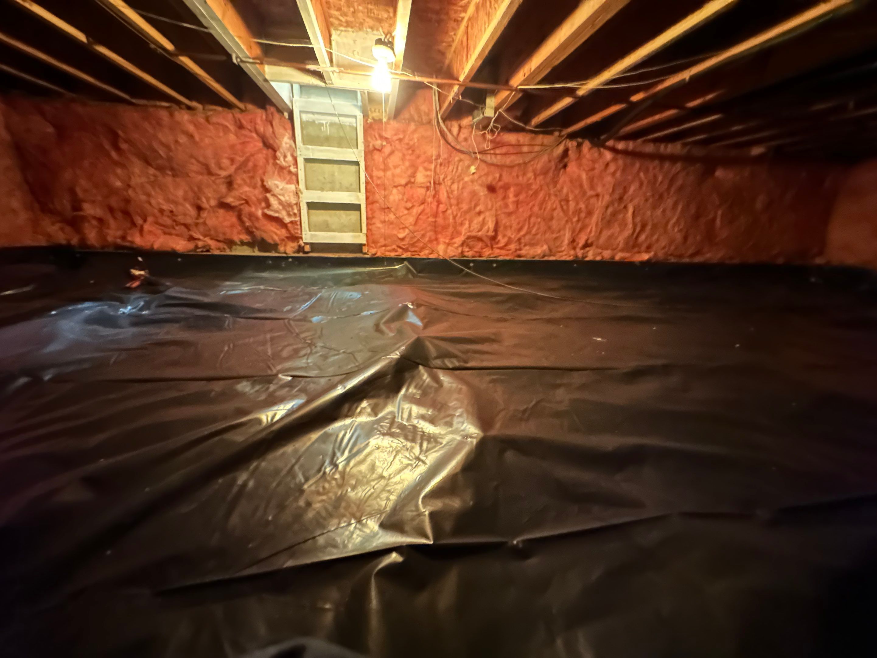 Mold Removal in Brighton, CO by Alpha Restoration 