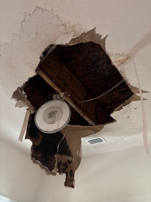 Water Damage Repair In Ellenton, FL