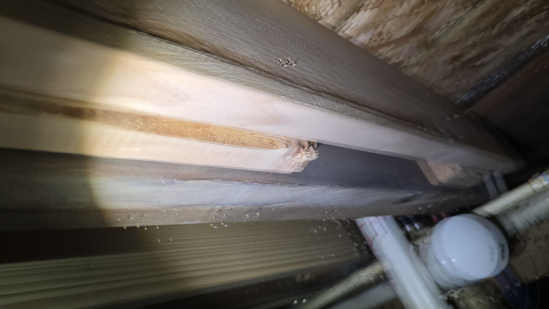 Structural Carpentry – Holland, Ohio by Toledo Basement Repair 
