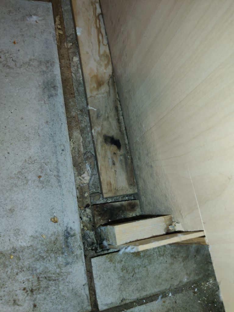 Mold Remediation in Kitchen by Accountable Home Services