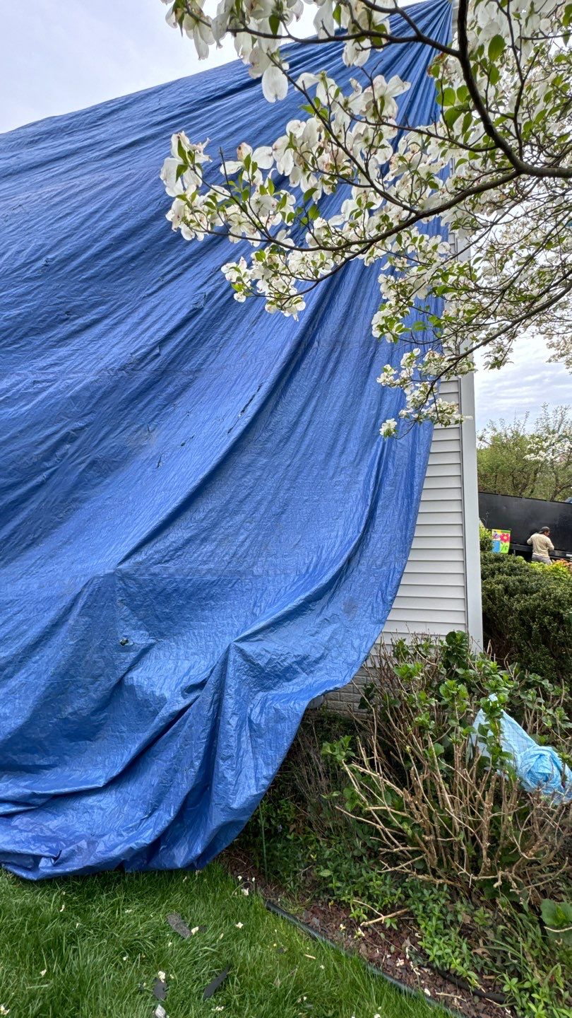 Vienna: CertainTeed Landmark Pro Designer Shingles in Max Def Moire Black by RM Banning, Inc.